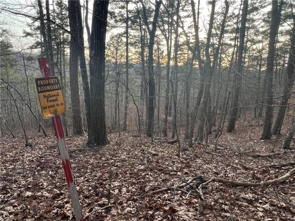 20 acres in Newton County, Arkansas