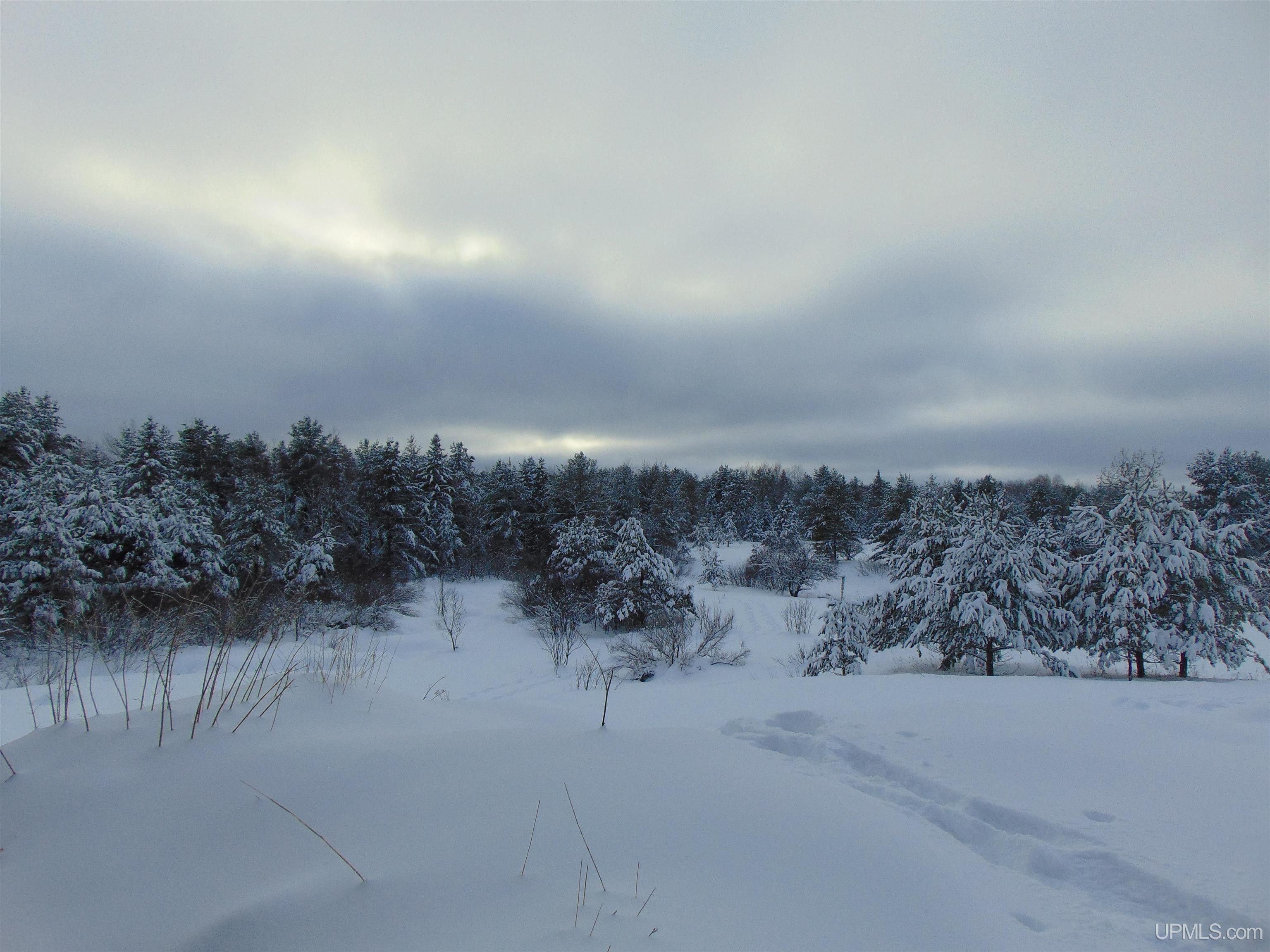 39 acres in Ontonagon County, Michigan