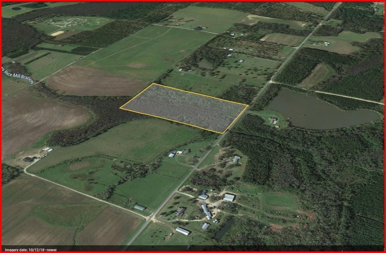 20 acres in Washington County, Florida