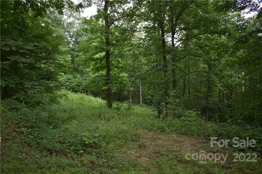 1.63 acres in Henderson County, North Carolina