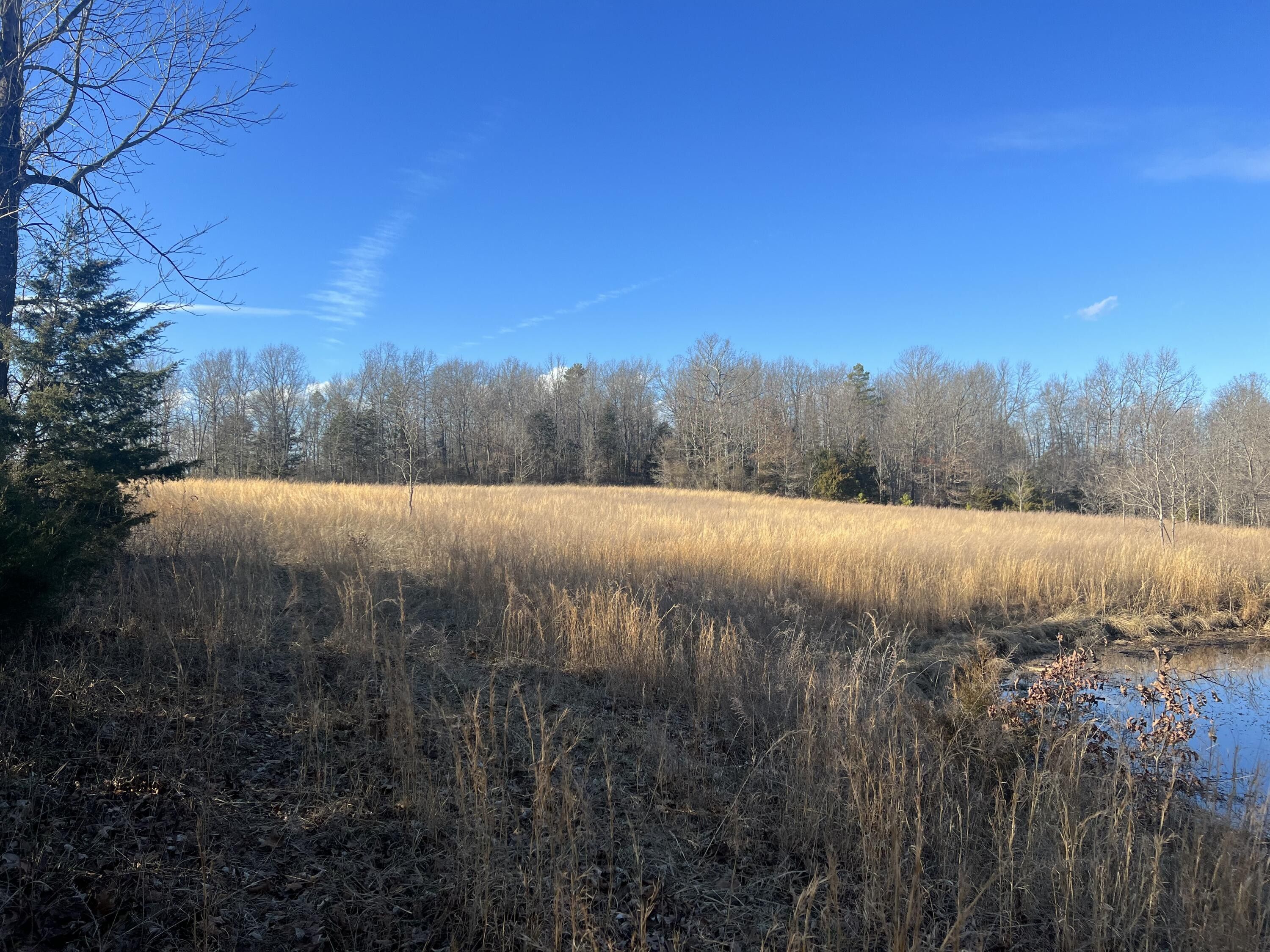 202 acres in Newton County, Arkansas