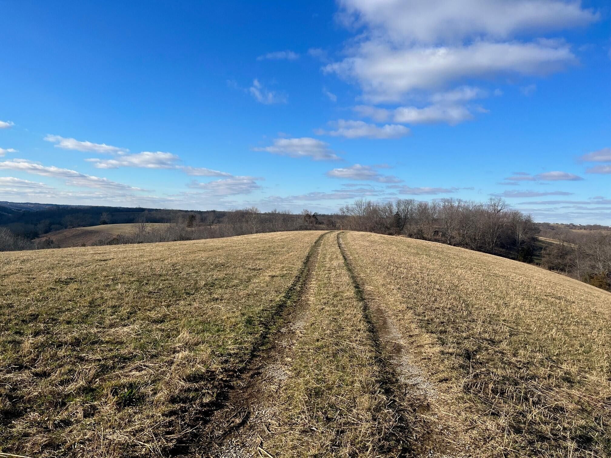 115 acres in Garrard County, Kentucky