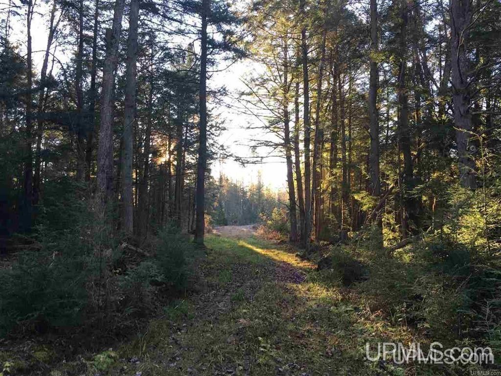 485 acres in Marquette County, Michigan