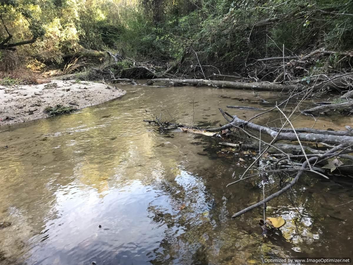 40 acres in Lawrence County, Mississippi