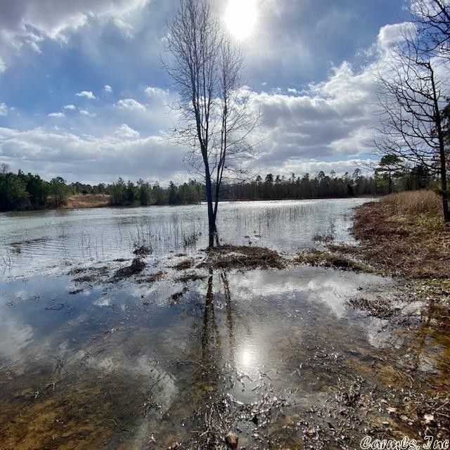 80 acres in Montgomery County, Arkansas