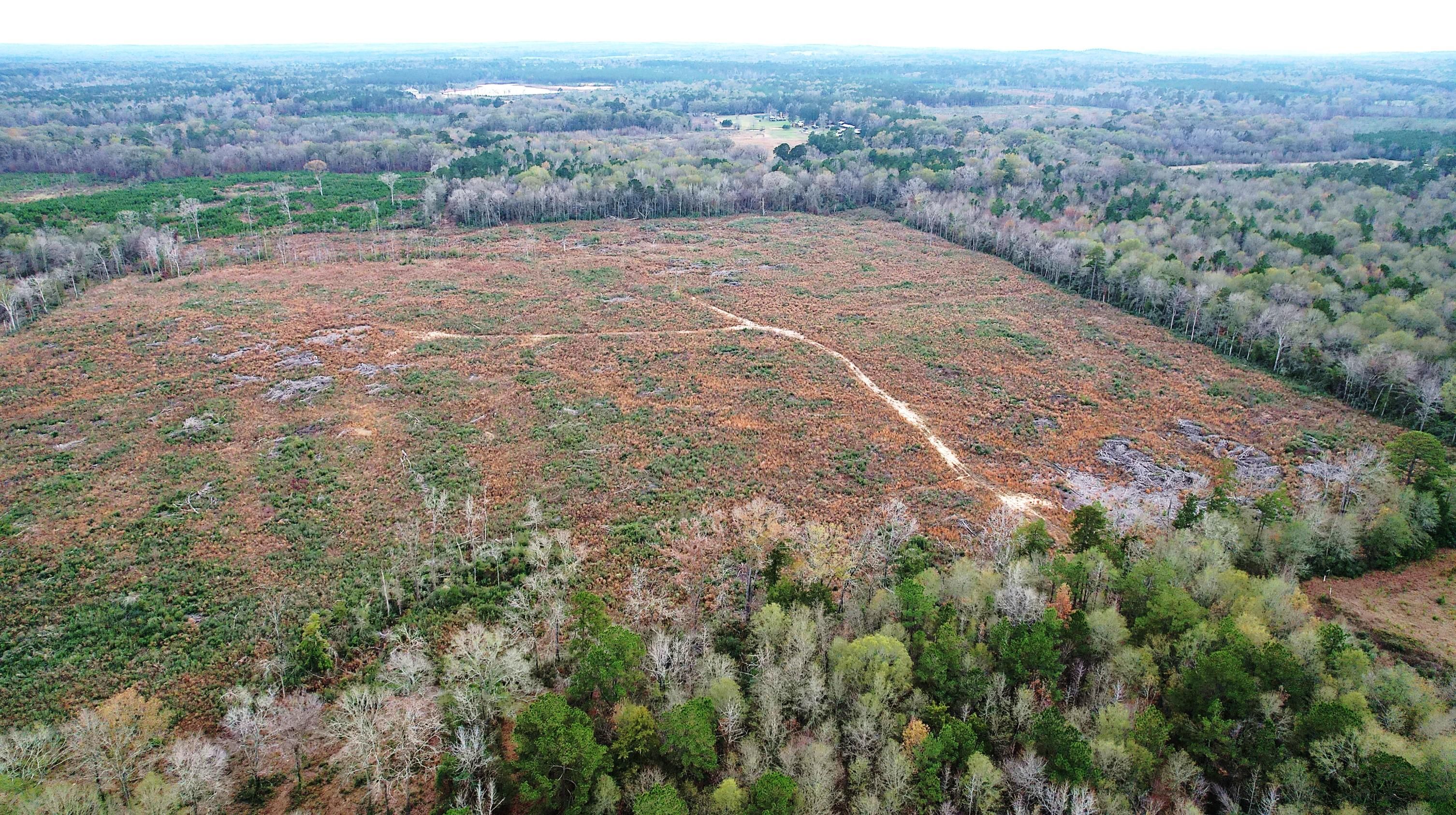 County Road 4243, Timpson, TX 75974