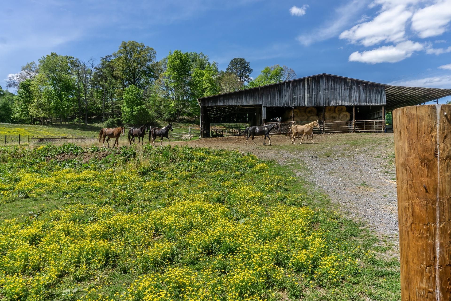 382.87 acres in Hawkins County, Tennessee