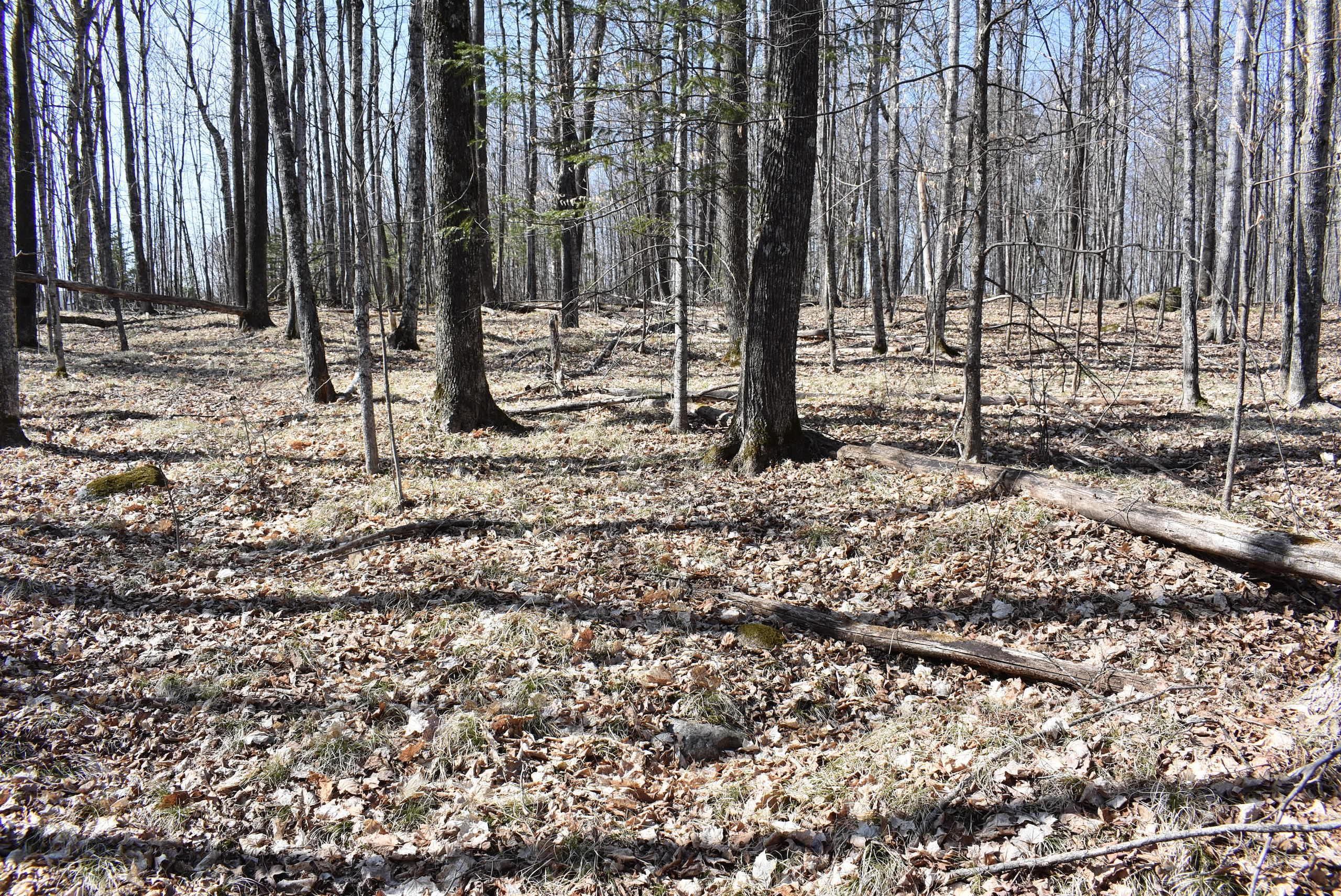 2.3 acres in County, Wisconsin