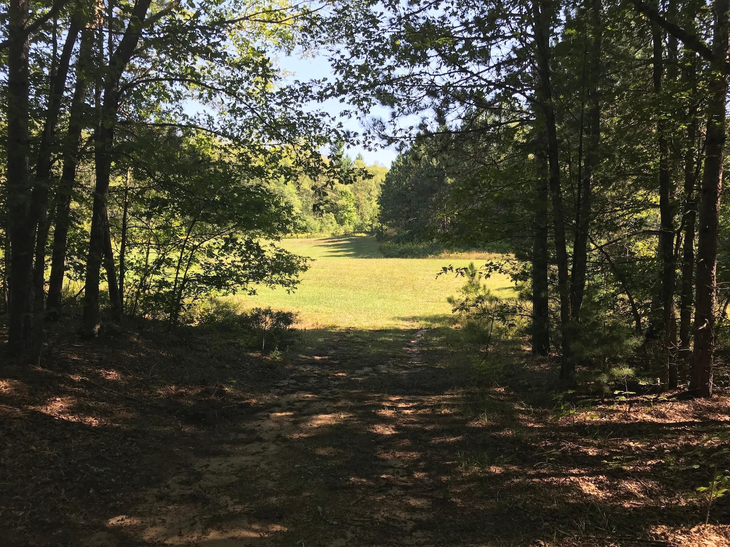 VL Rd, Lot WP0001, Glennie, MI 48737