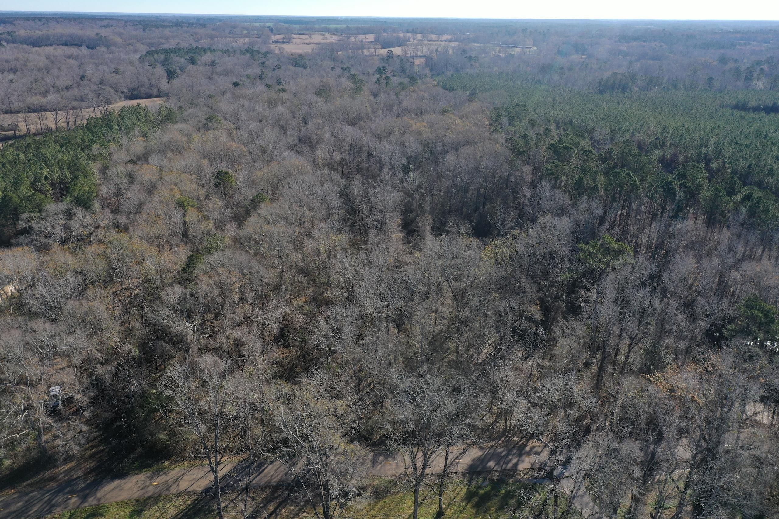 39 acres in Tangipahoa Parish, Louisiana