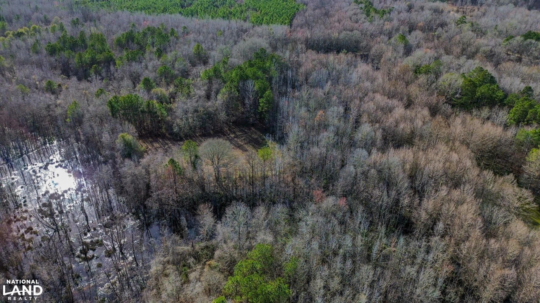 66 acres in Sumter County, Alabama