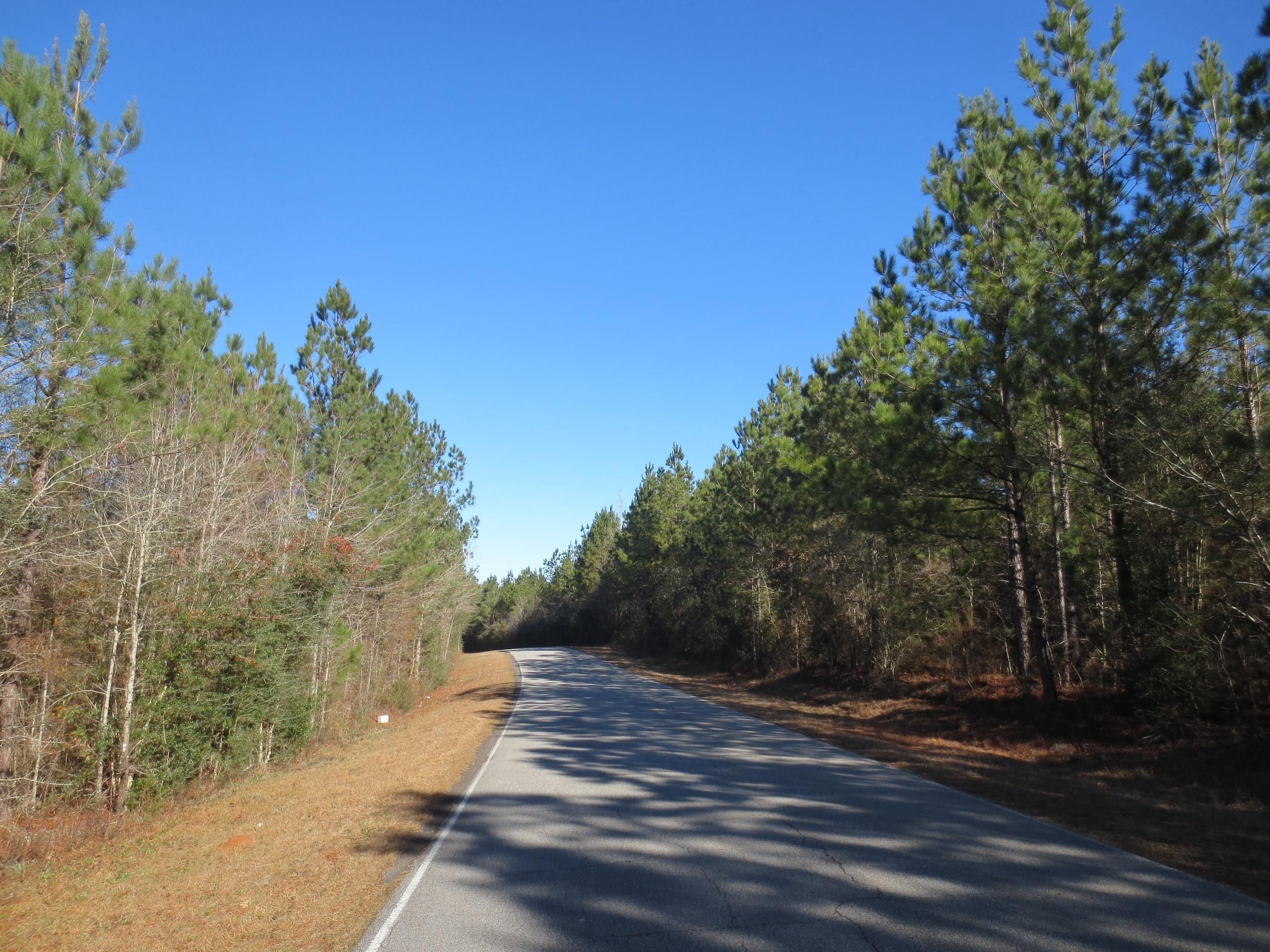 Herring Road, LotWP002, Tylertown, MS 39667