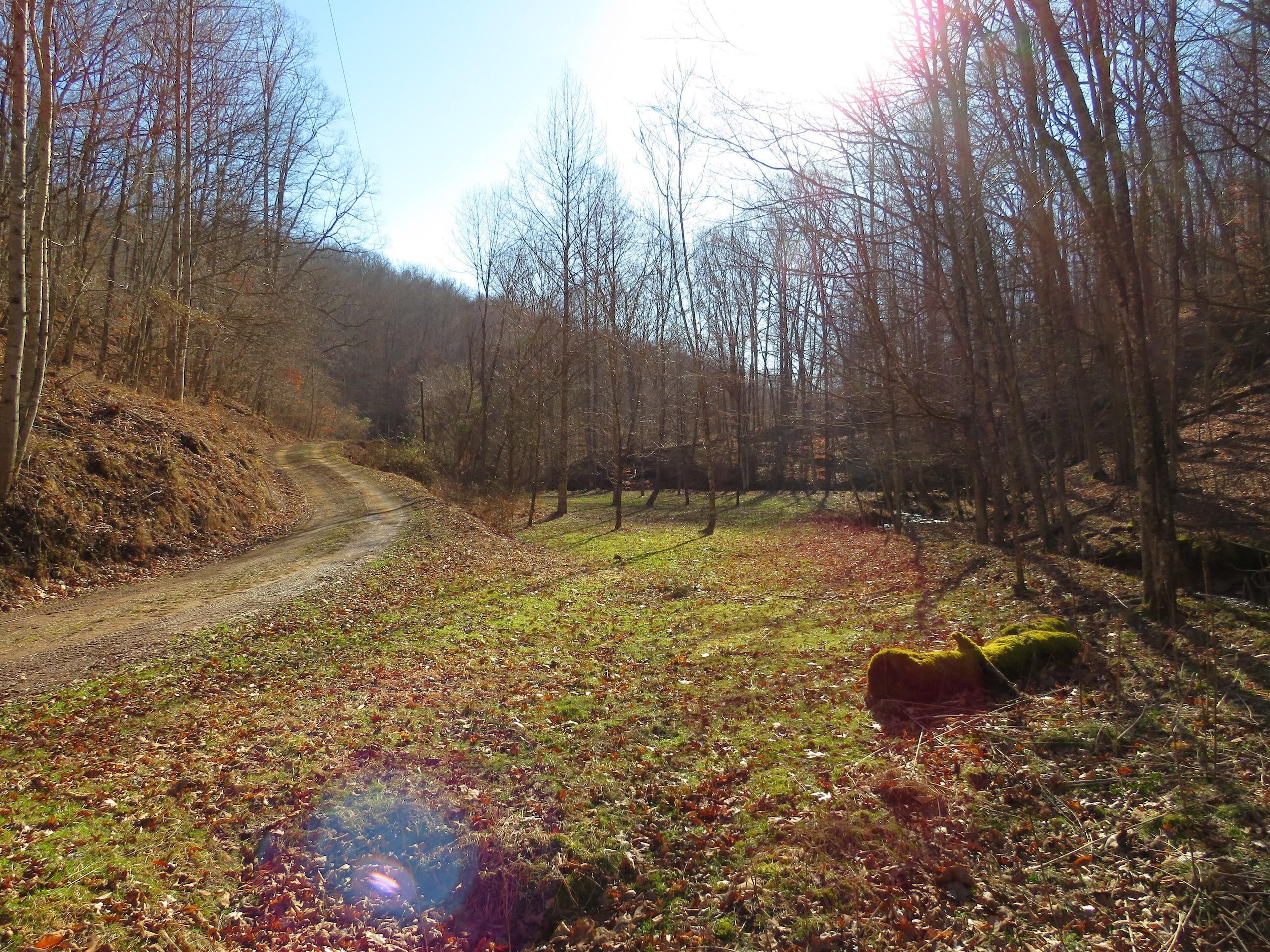 200 acres in Lincoln County, West Virginia