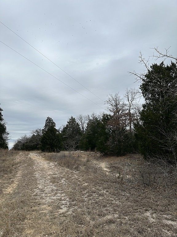 14.83 acres in Bastrop County, Texas