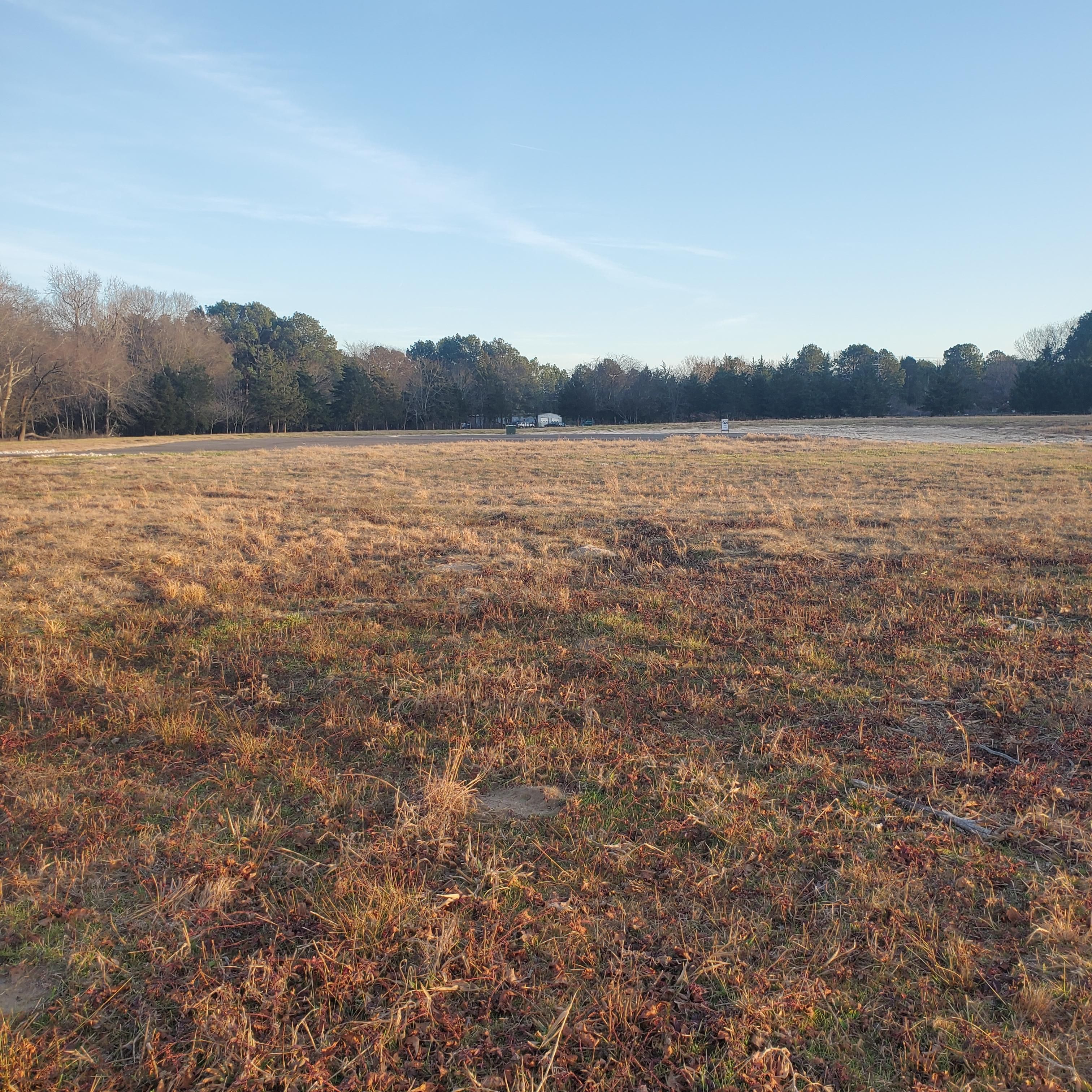 1.18 acres in Camp County, Texas