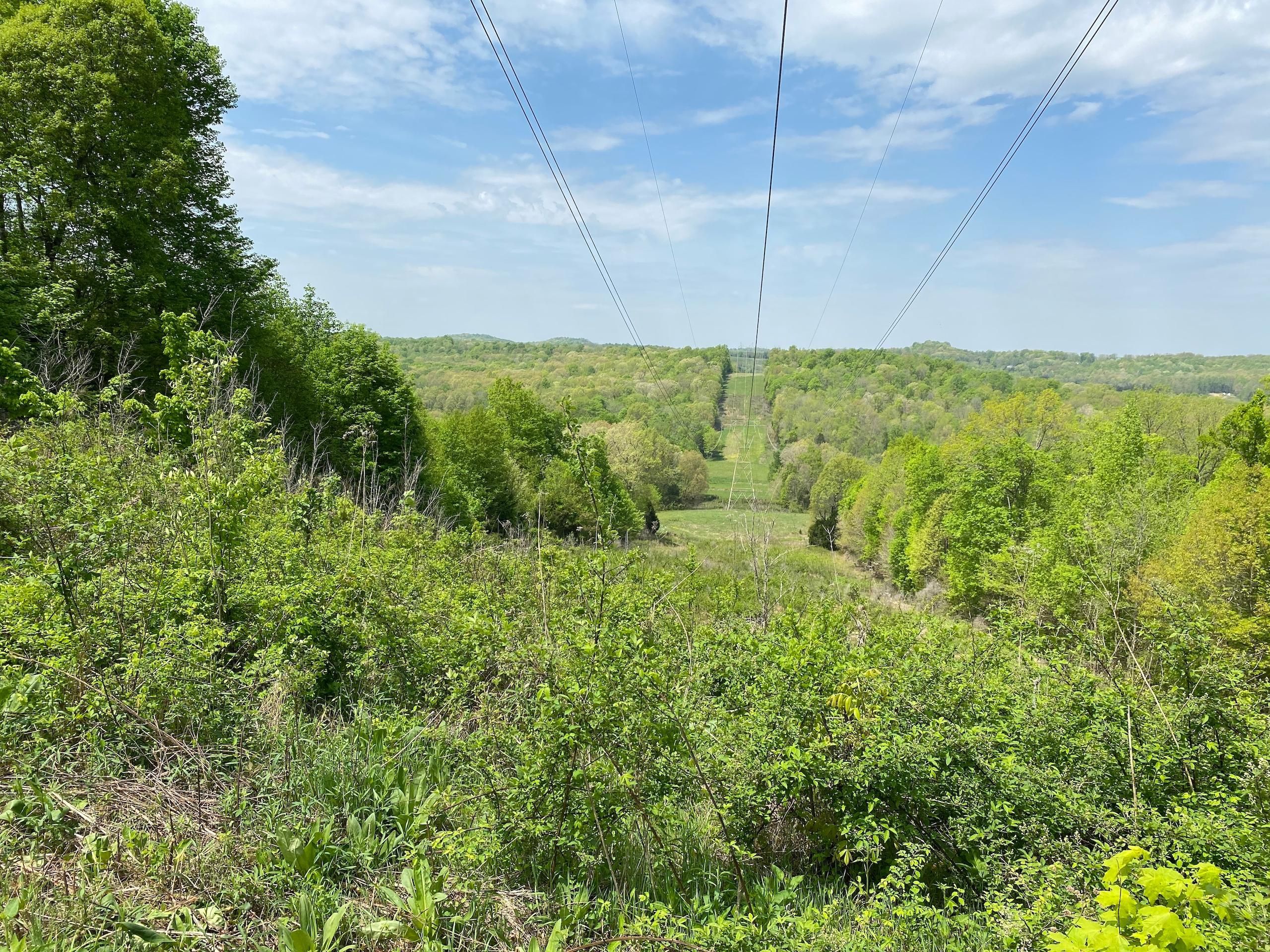 100 acres in Butler County, Kentucky