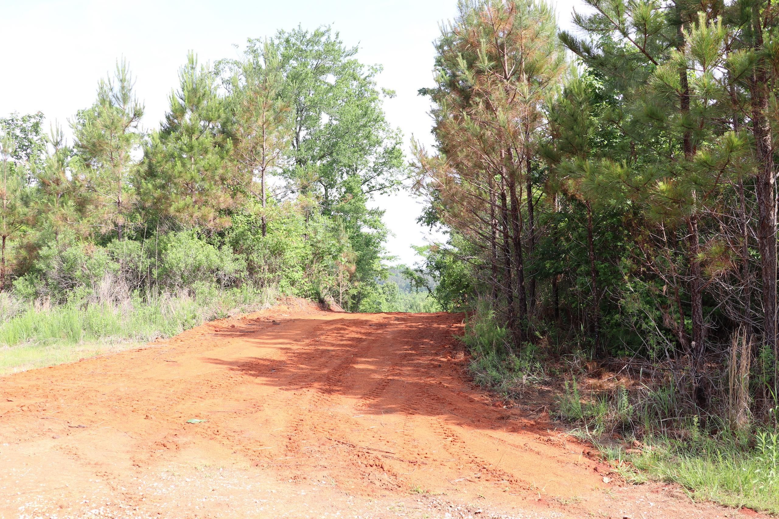 80 acres in Webster County, Mississippi