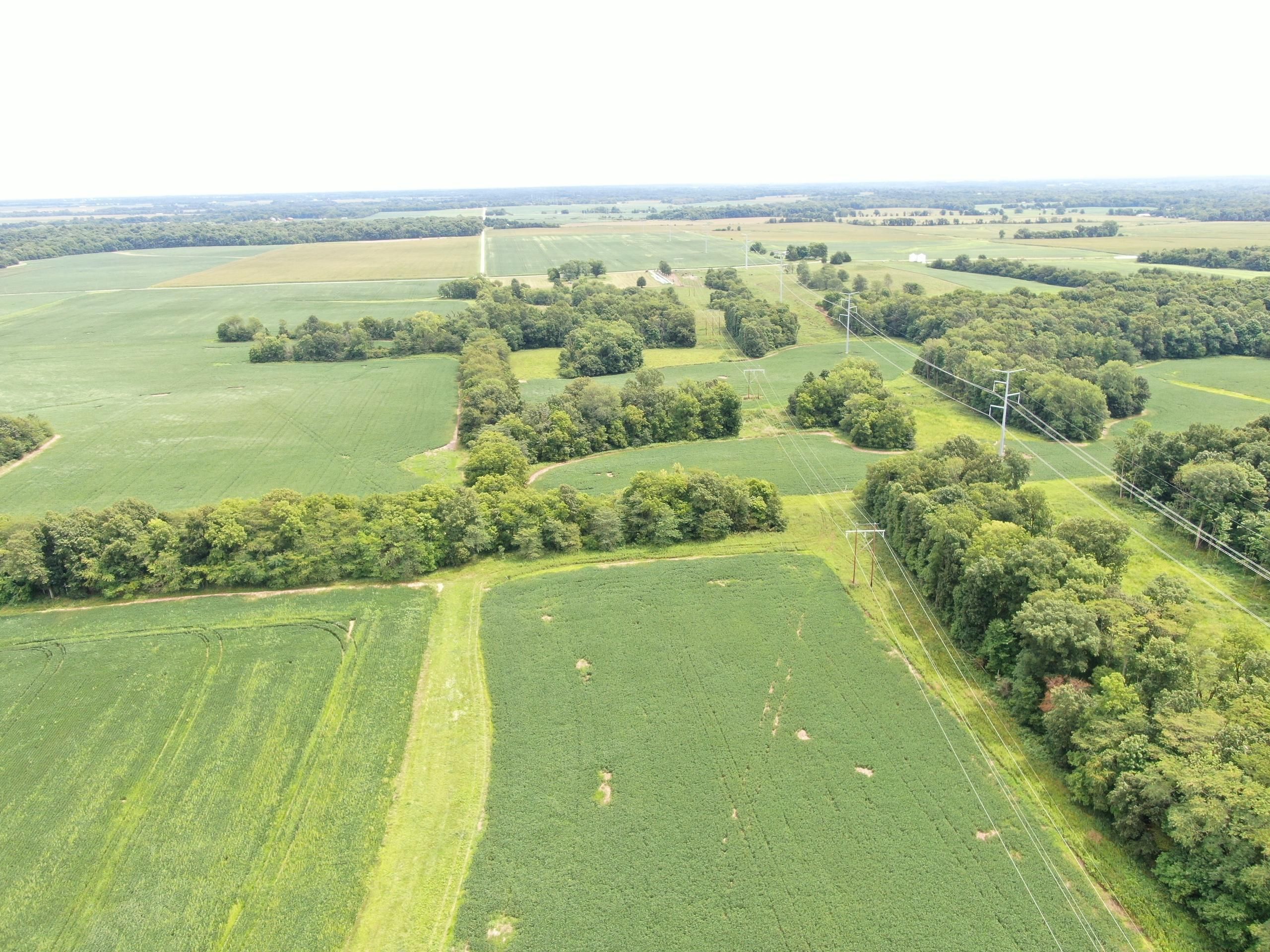 100 acres in Edgar County, Illinois