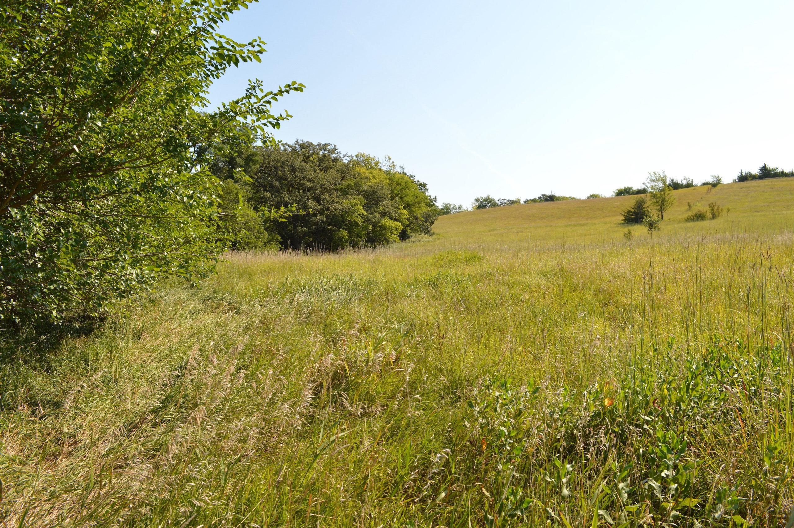 County Road 17, LotWP001, Herman, NE 68029