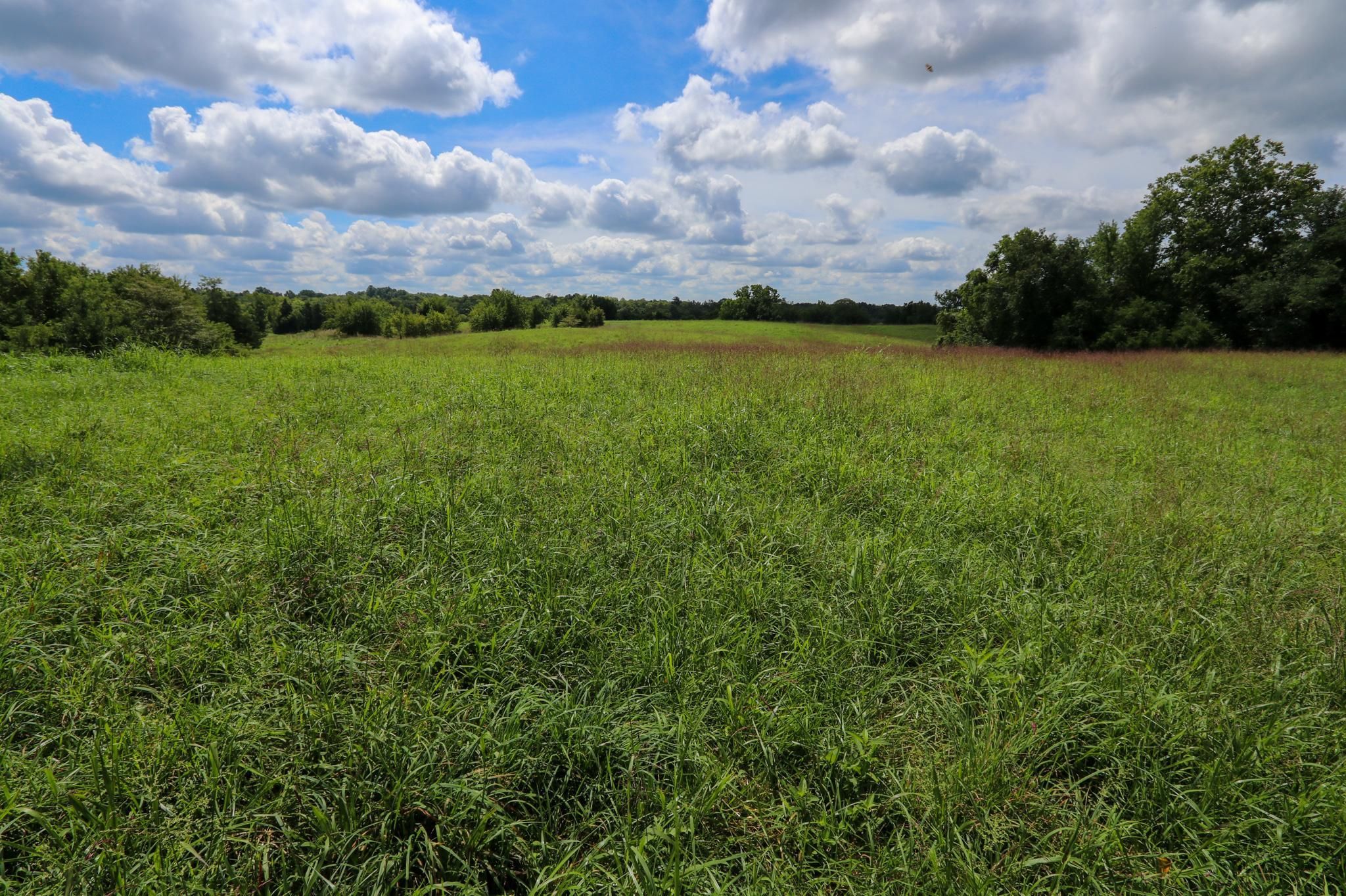 287 acres in Harrison County, Kentucky