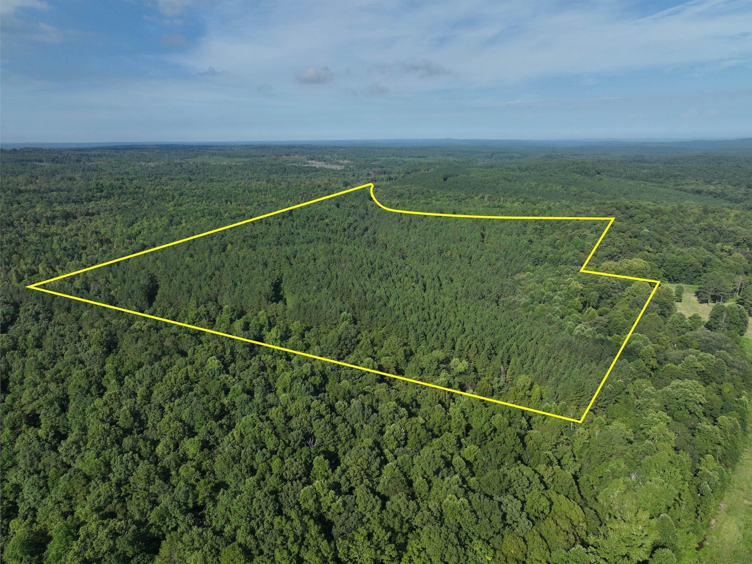 County Road 821, LotWP001, Wadley, AL 36276