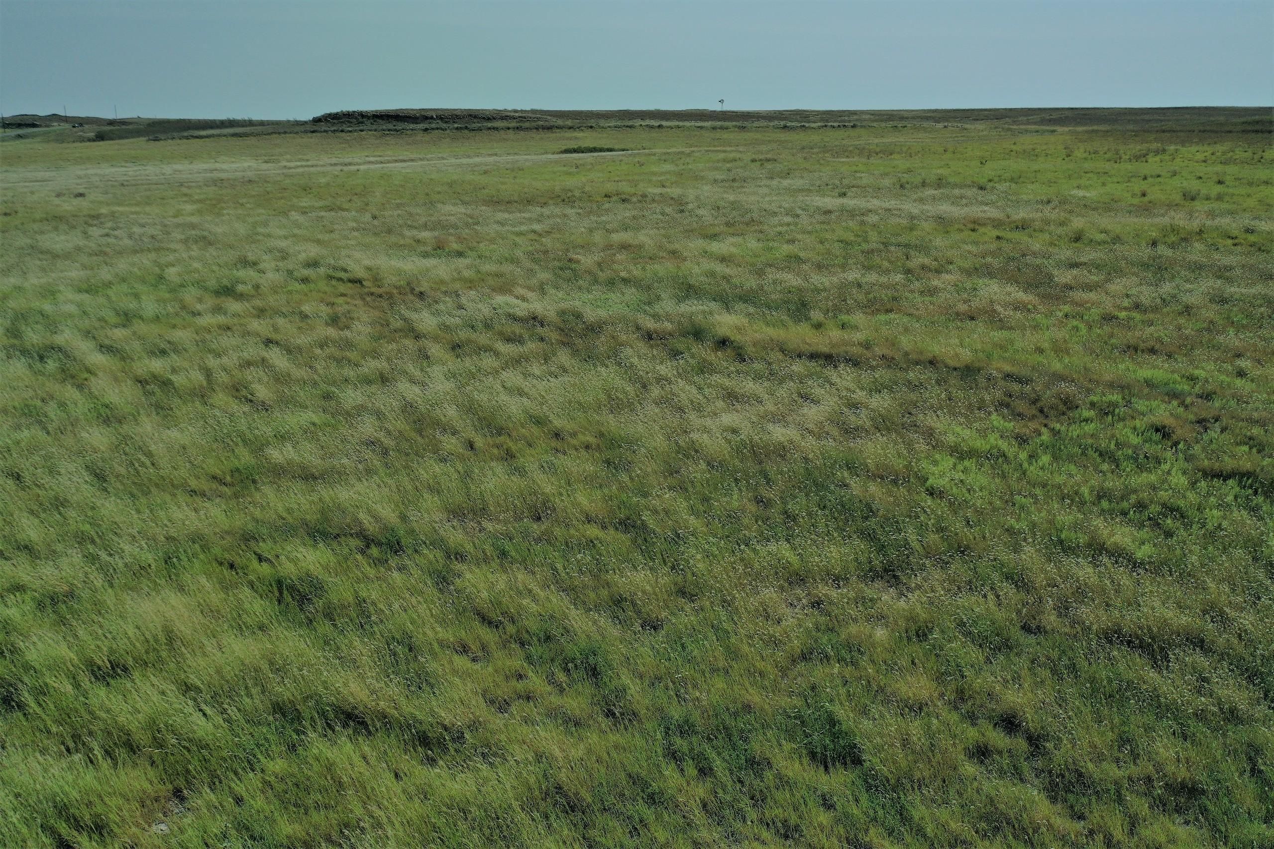 160 acres in Ellis County, Oklahoma