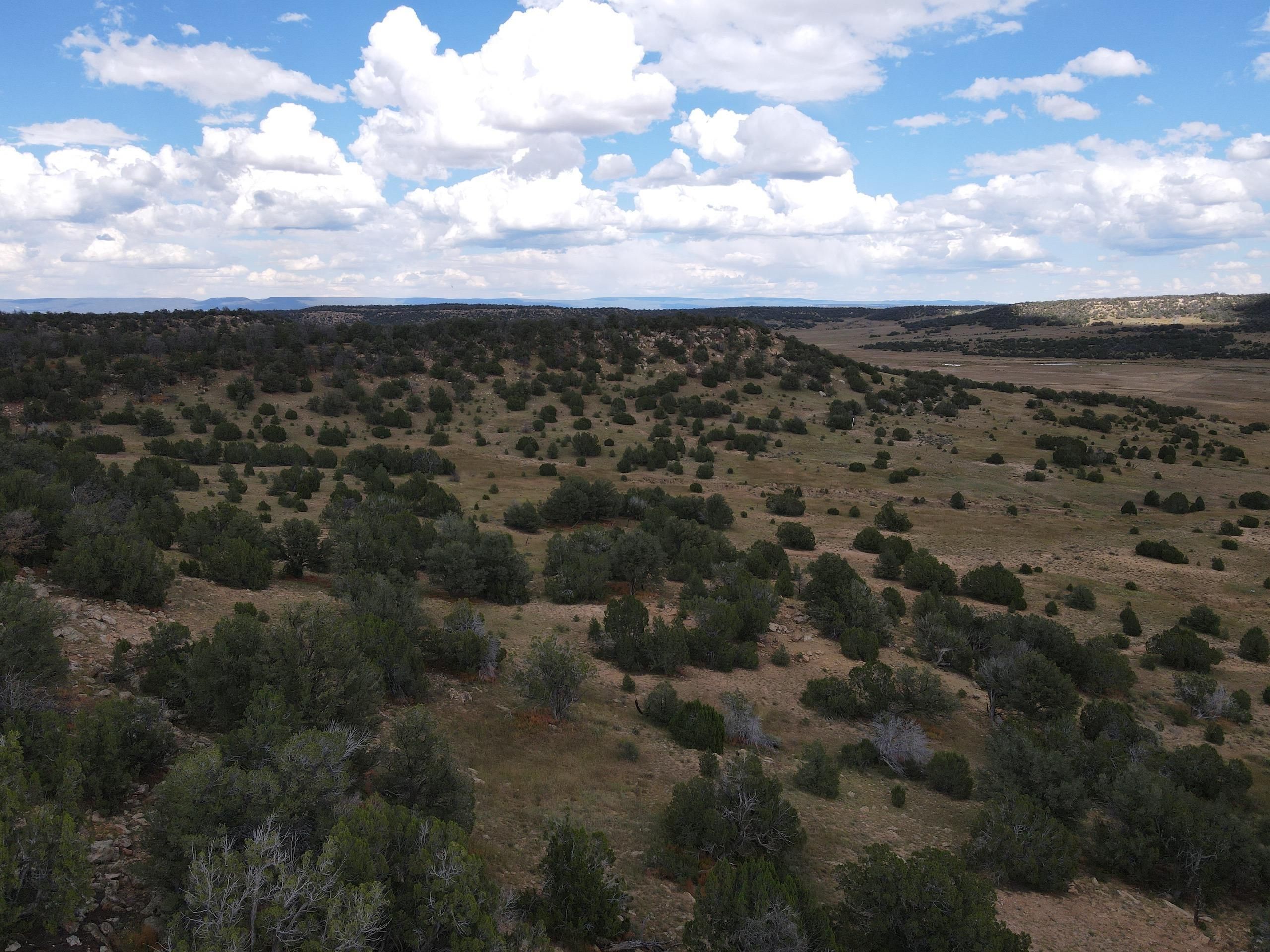 640 acres in McKinley County, New Mexico