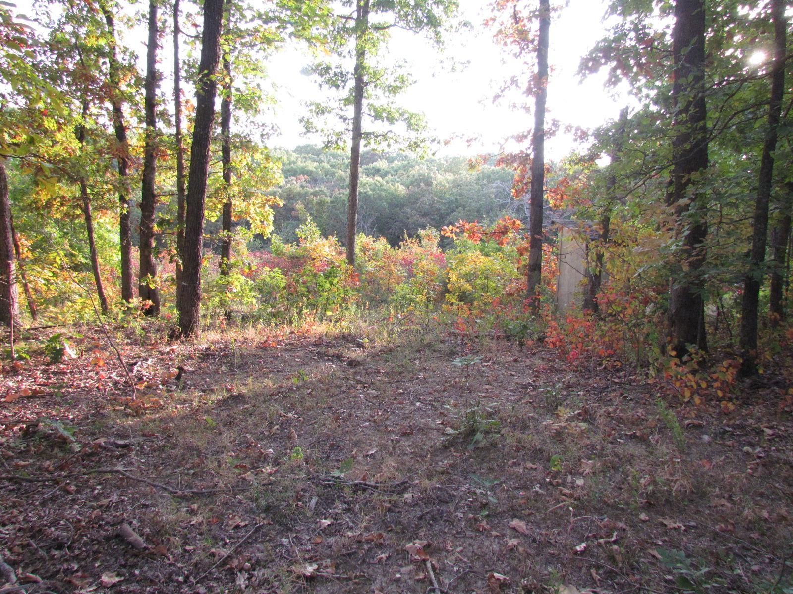 162 acres in Miller County, Missouri