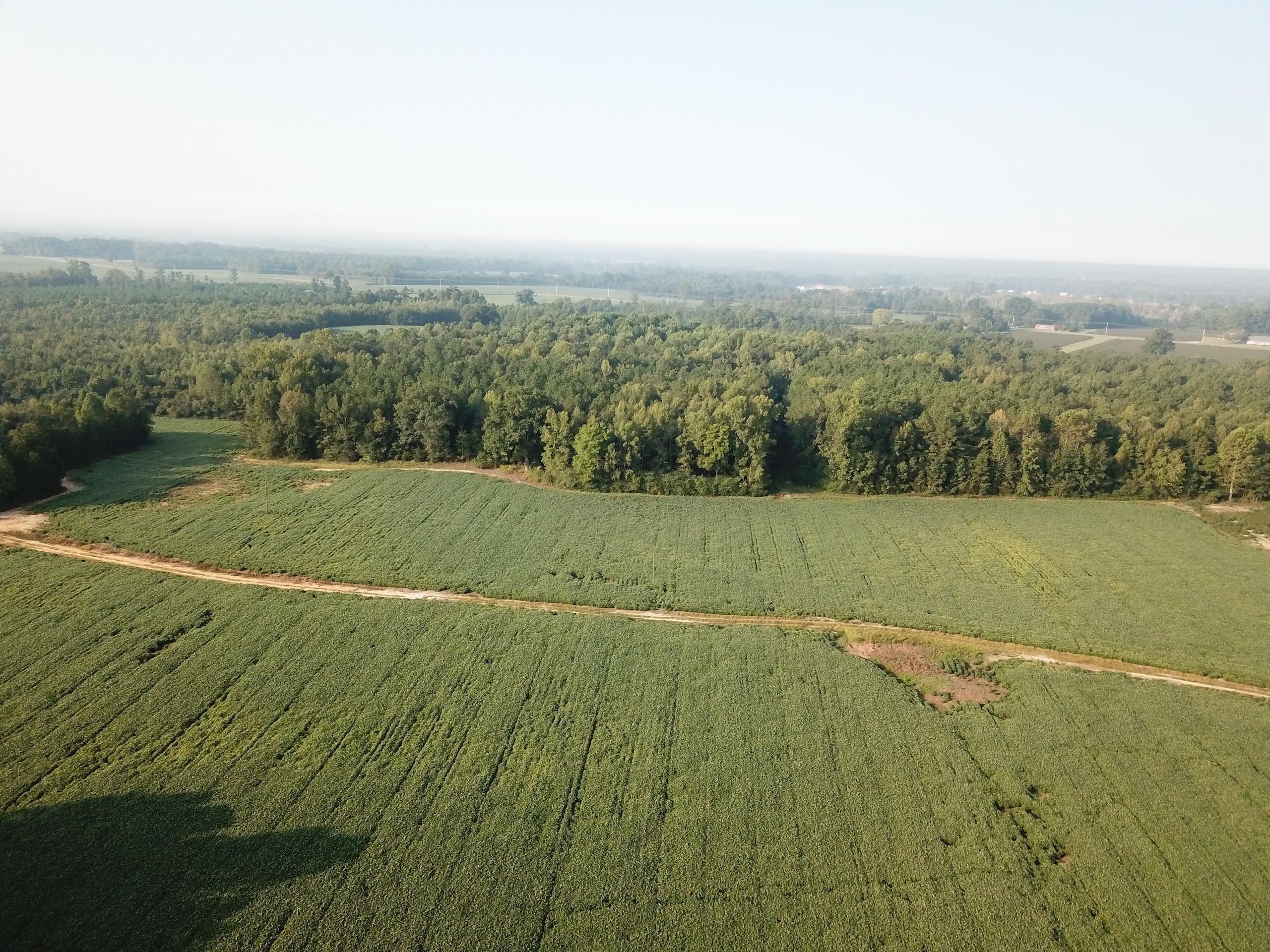 60 acres in Halifax County, North Carolina