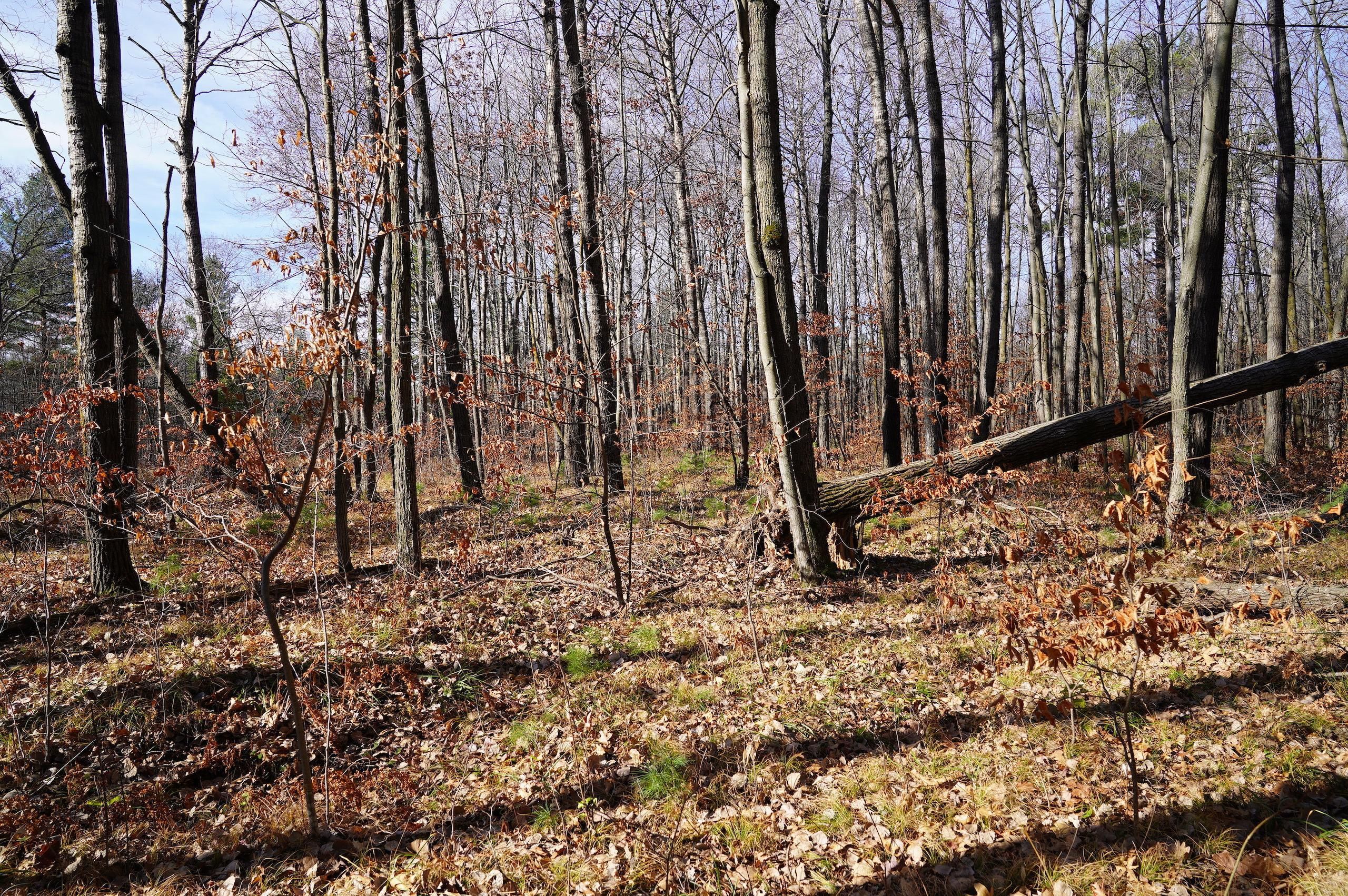 10 acres in County, Wisconsin