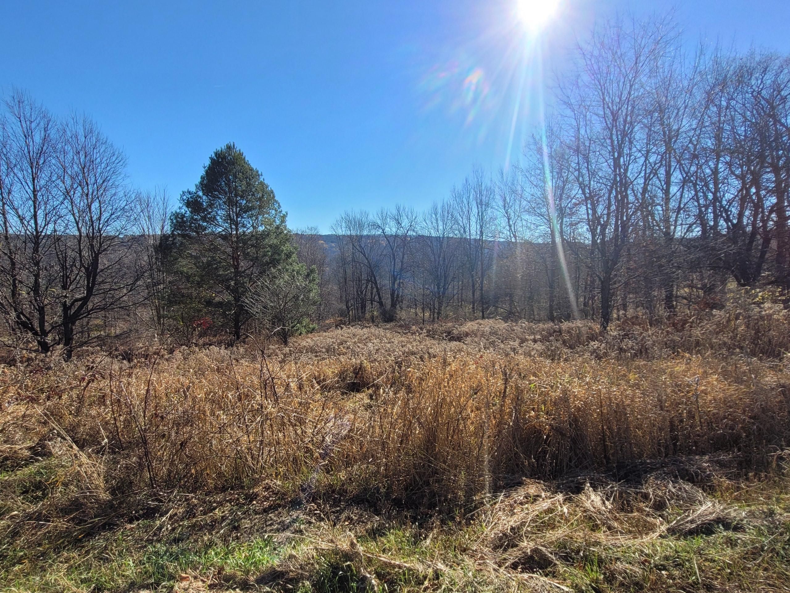 6.62 acres in Schoharie County, New York