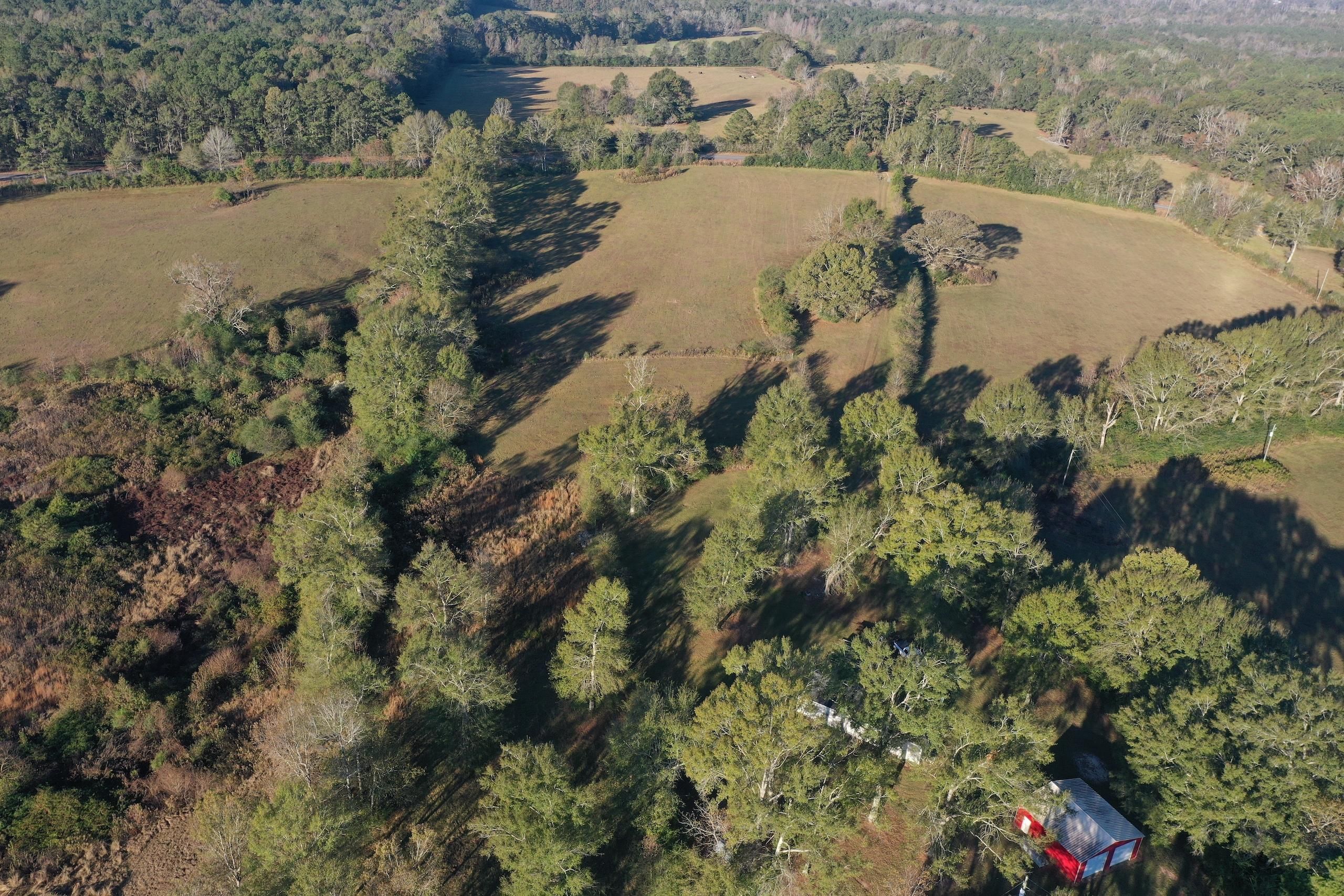 Louisiana Land Watch - zoj64xo