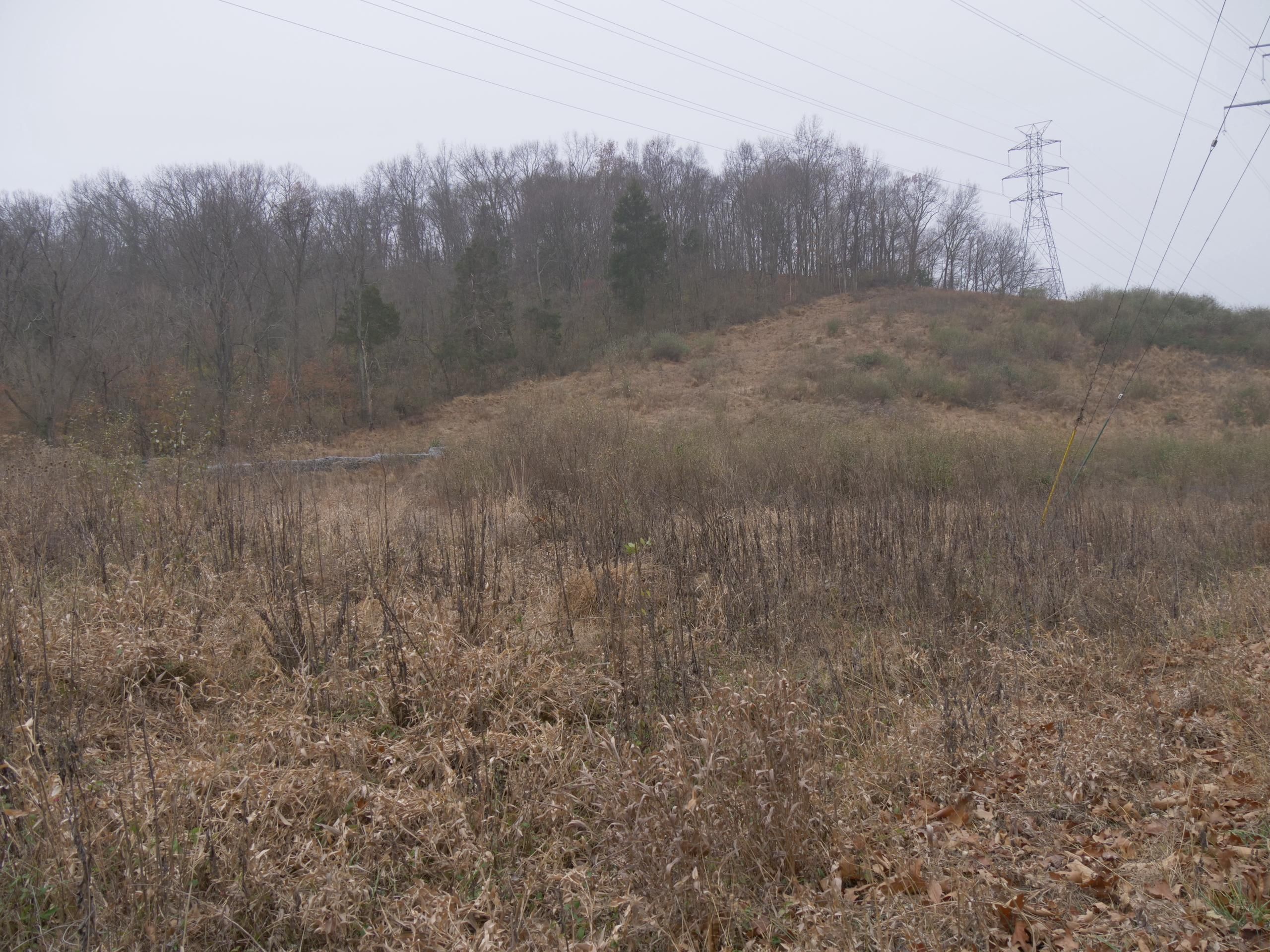 40 acres in Jefferson County, Missouri