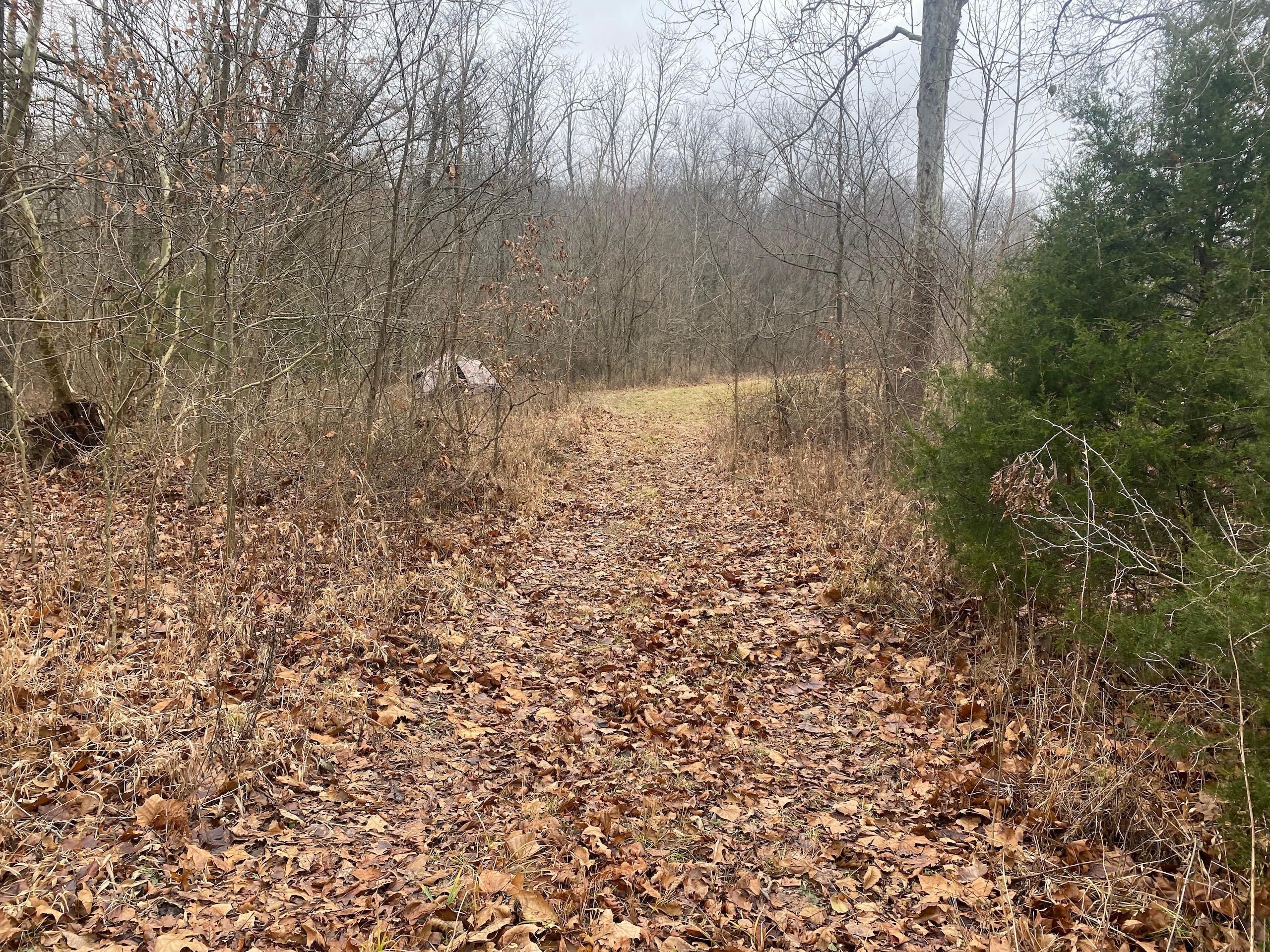 35 acres in Jasper County, Illinois