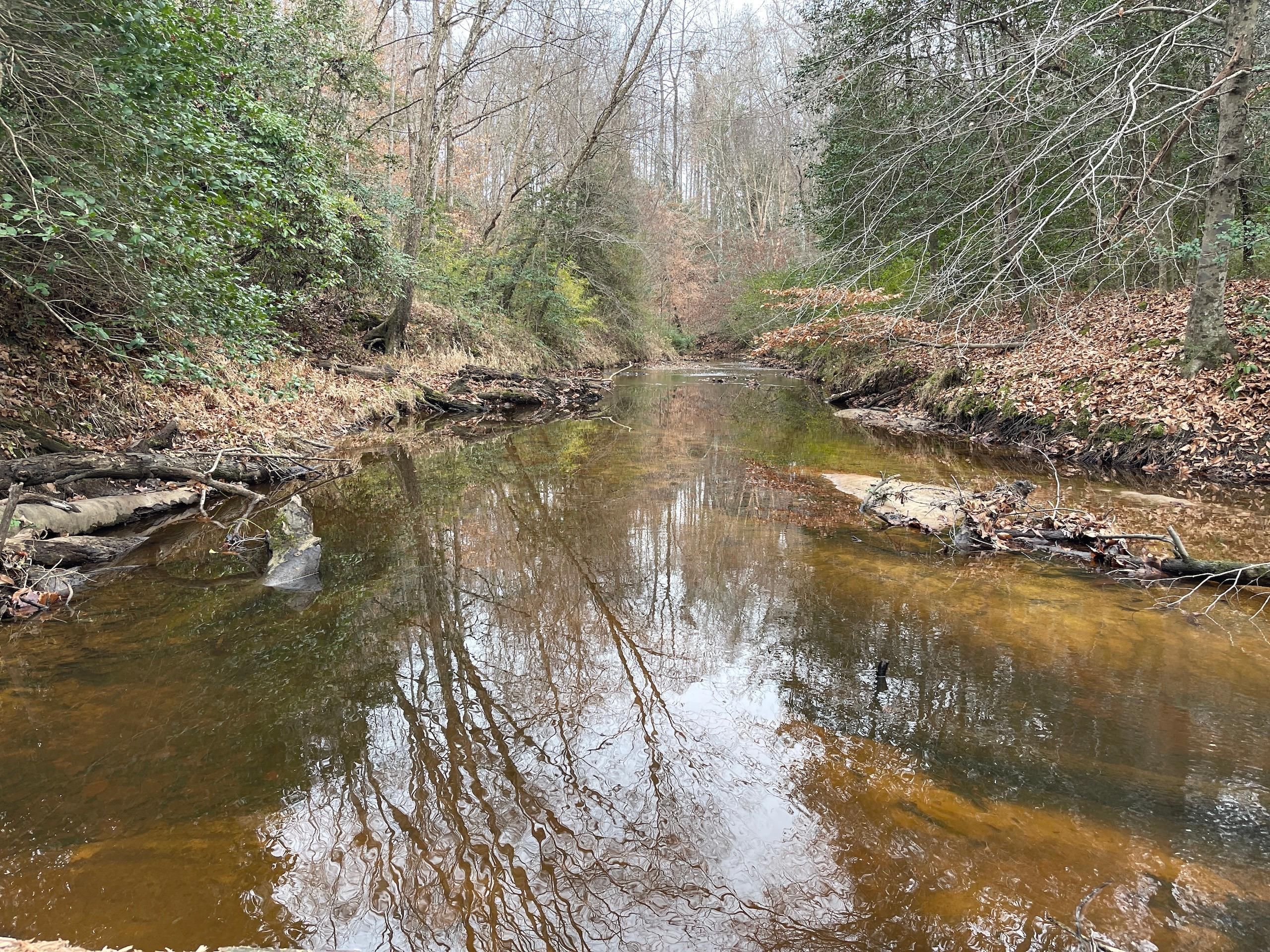 30 acres in Halifax County, North Carolina