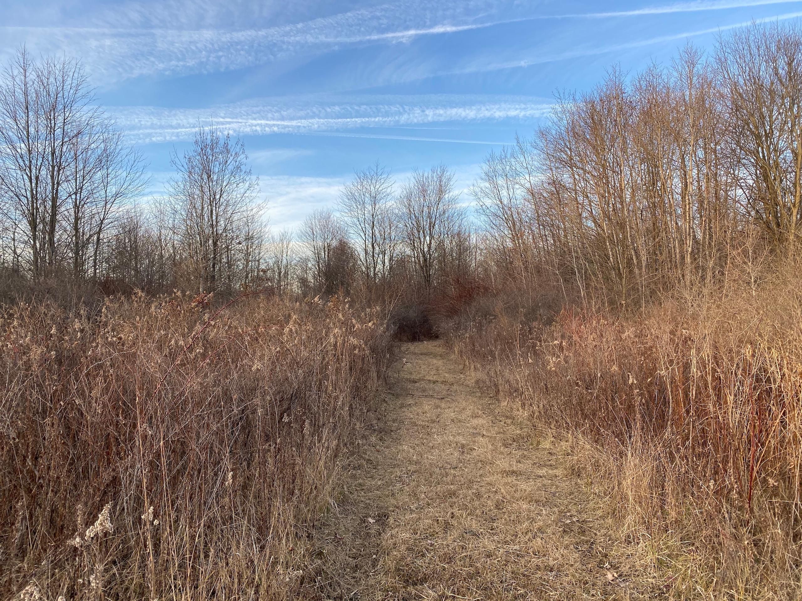 19 acres in Clarion County, Pennsylvania