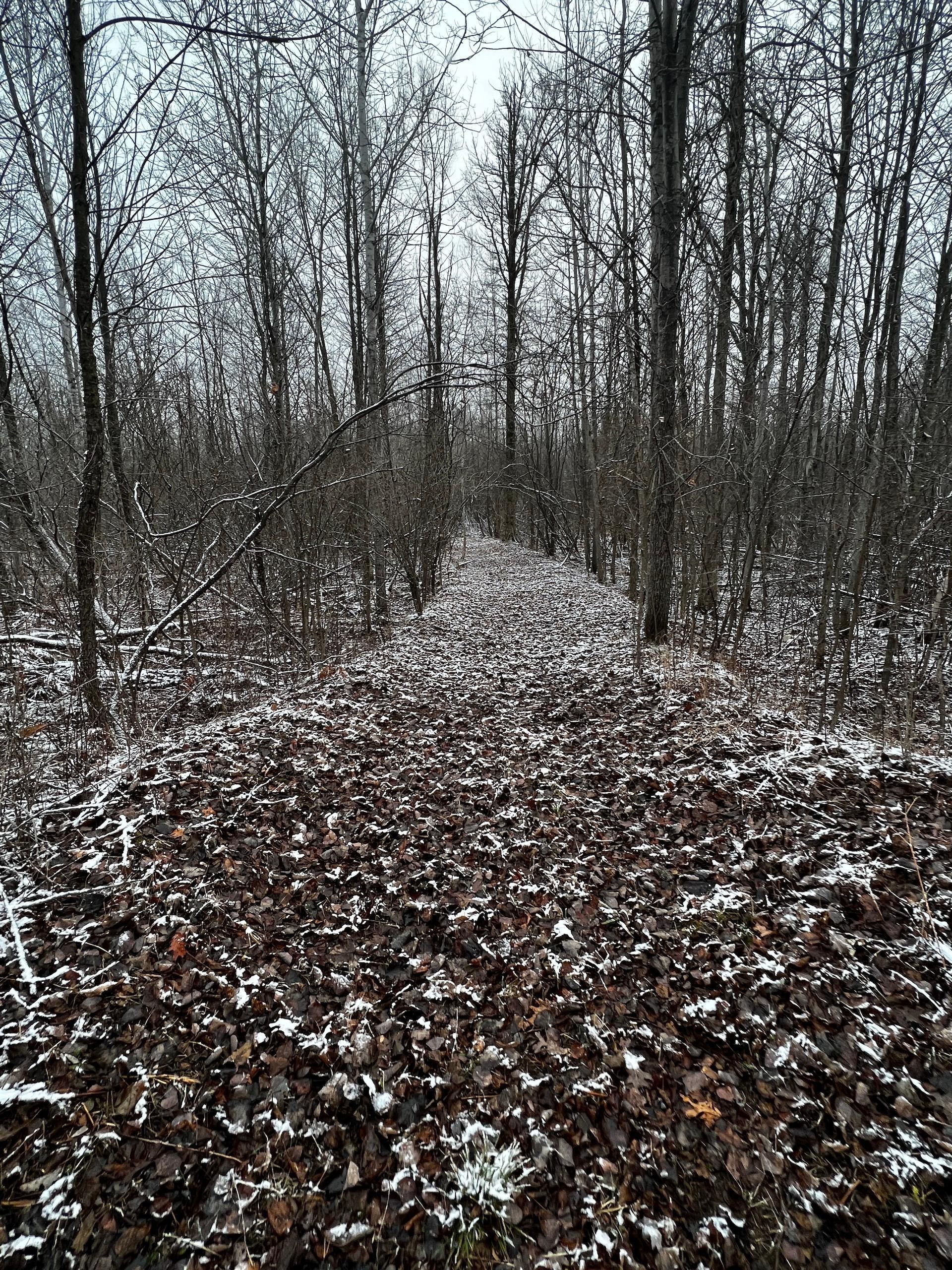 80 acres in Gladwin County, Michigan