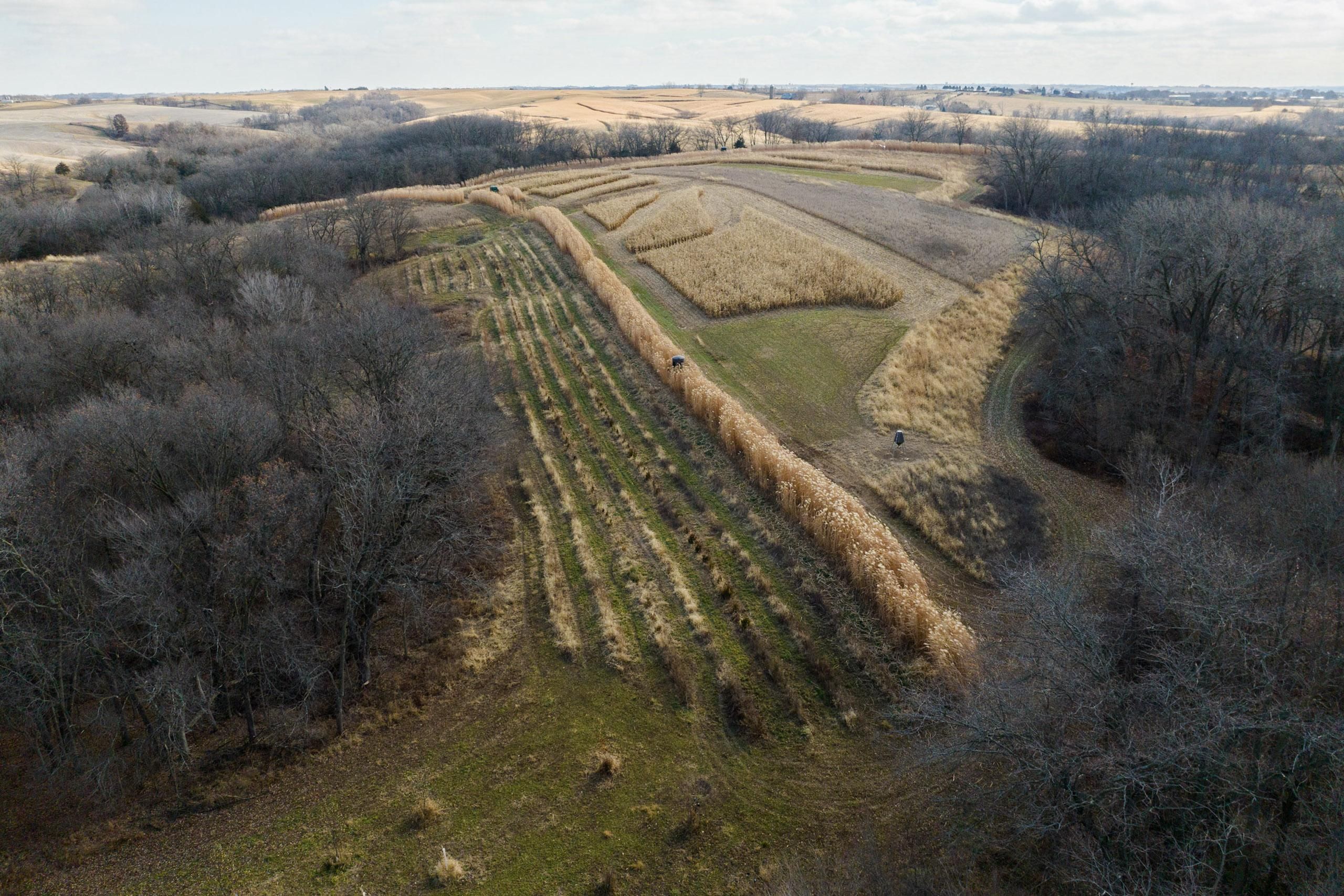 322 acres in Jackson County, Iowa