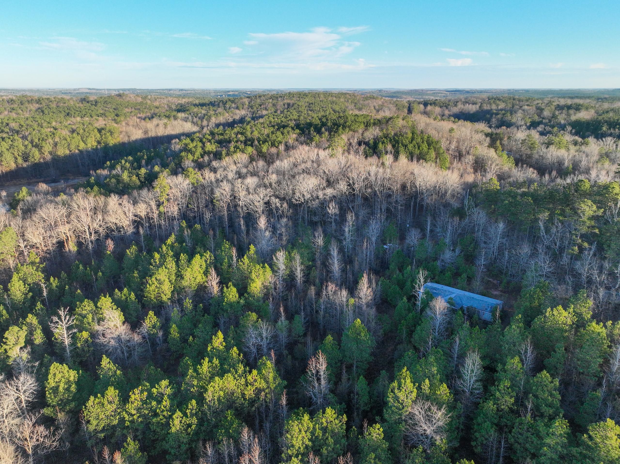 0 Pitts Chapel Road, LotWP001, Macon, GA 31217