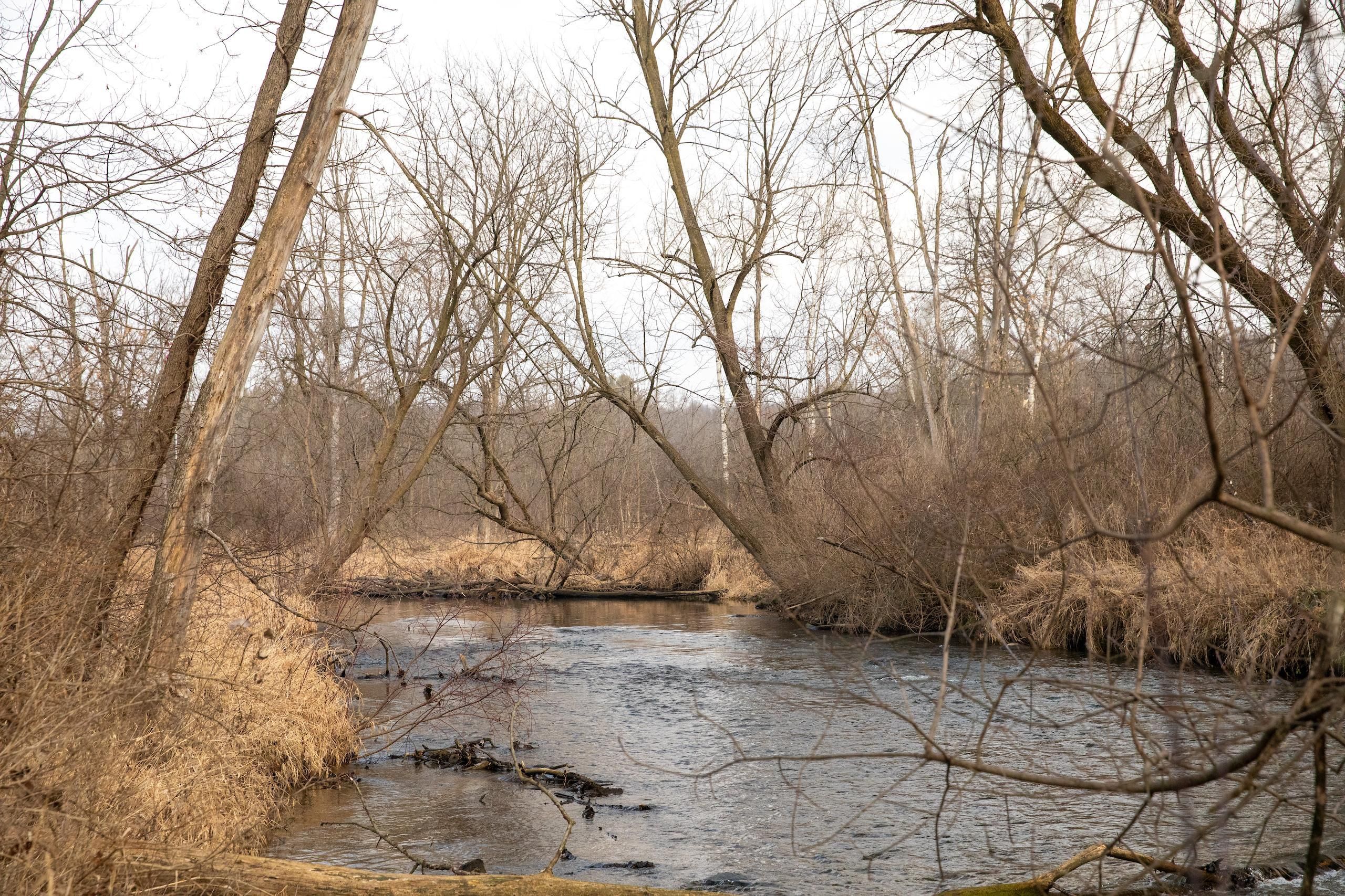 12.71 acres in Ionia County, Michigan