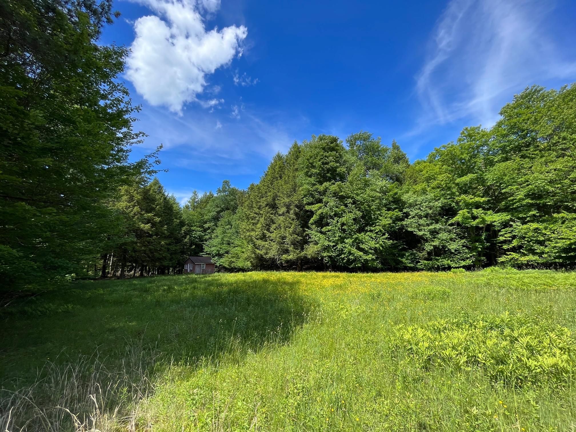 26.02 acres in Cattaraugus County, New York