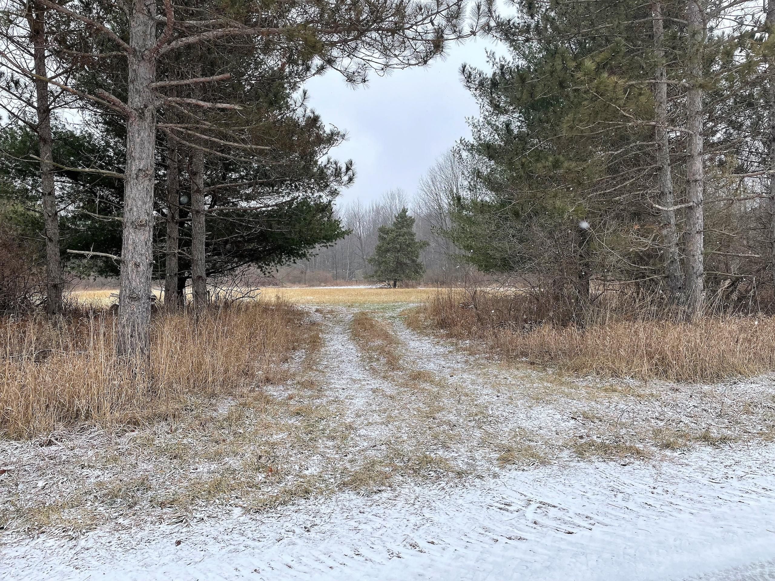 40 acres in Tuscola County, Michigan