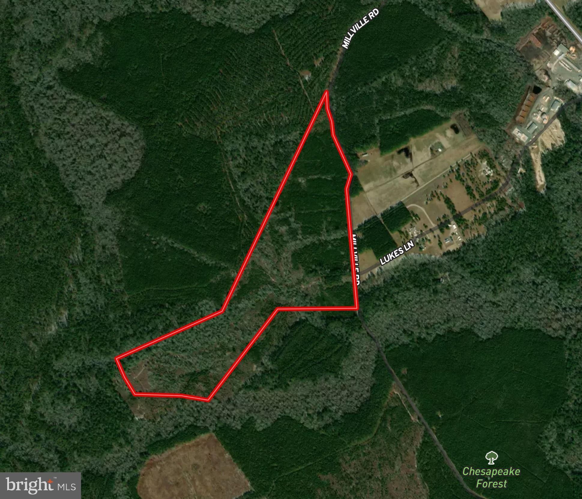 100 acres in Worcester County, Maryland