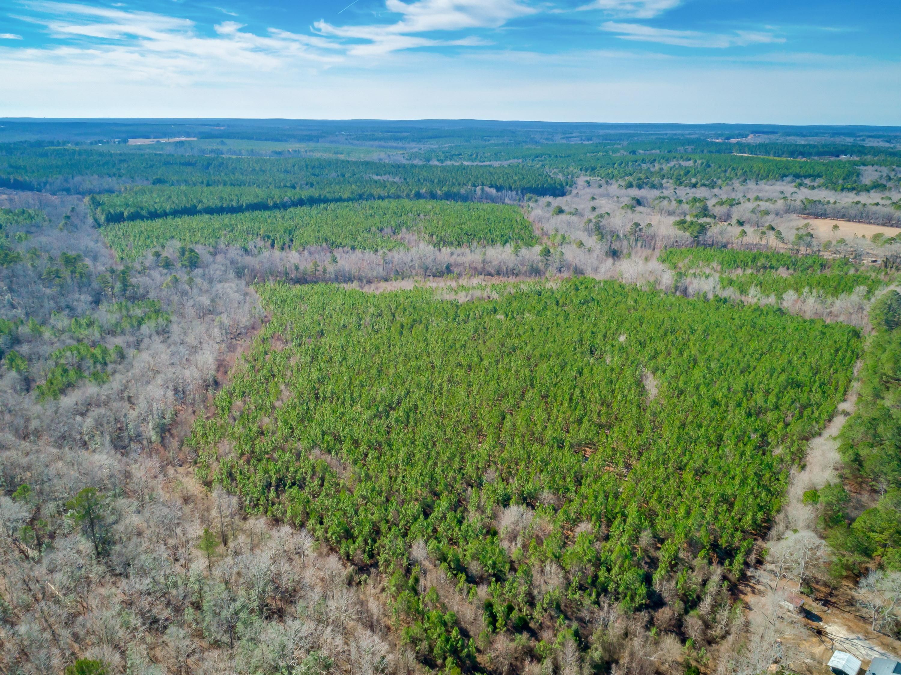93.3 acres in Chesterfield County, South Carolina