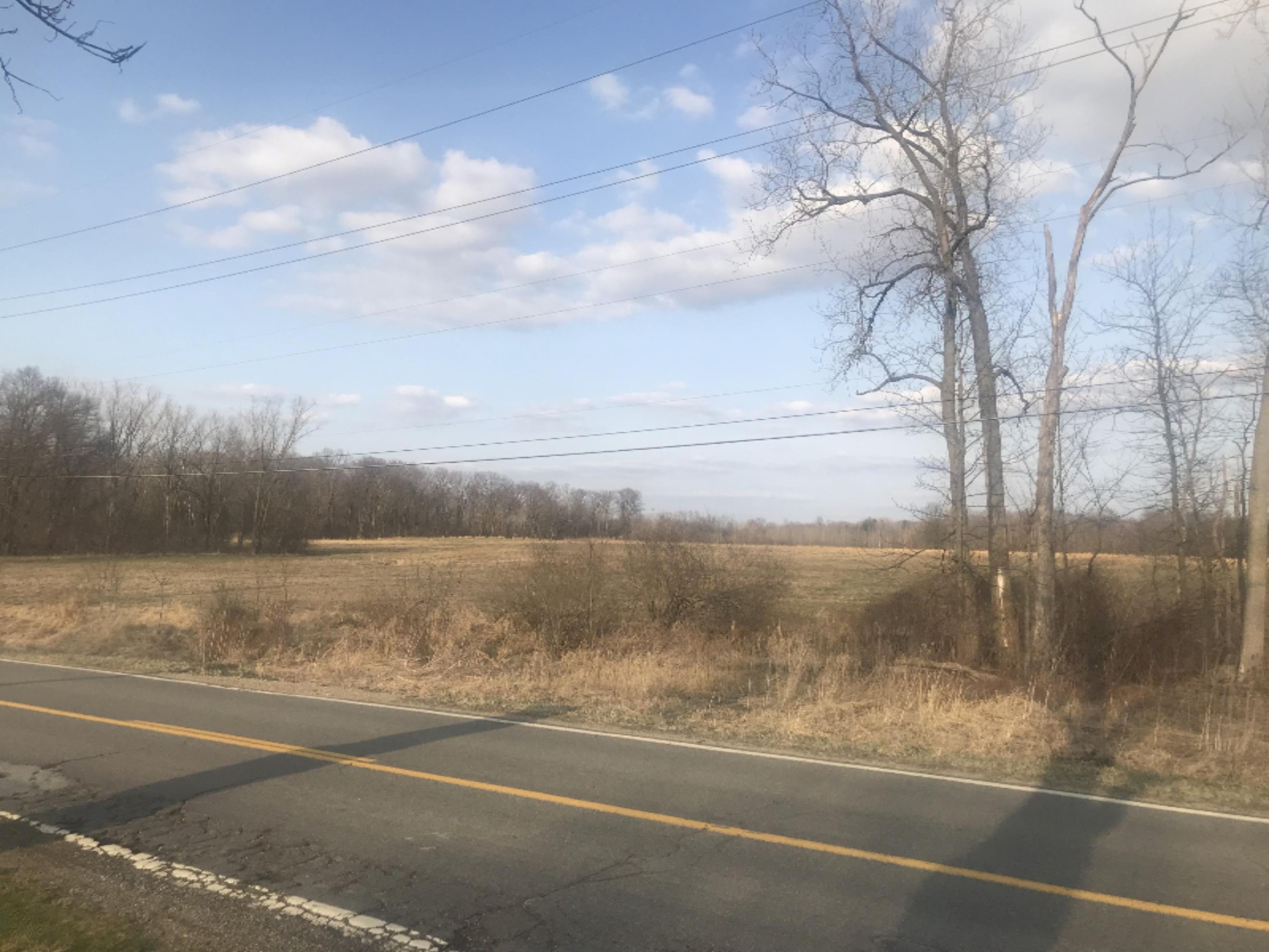 20 acres in Berrien County, Michigan