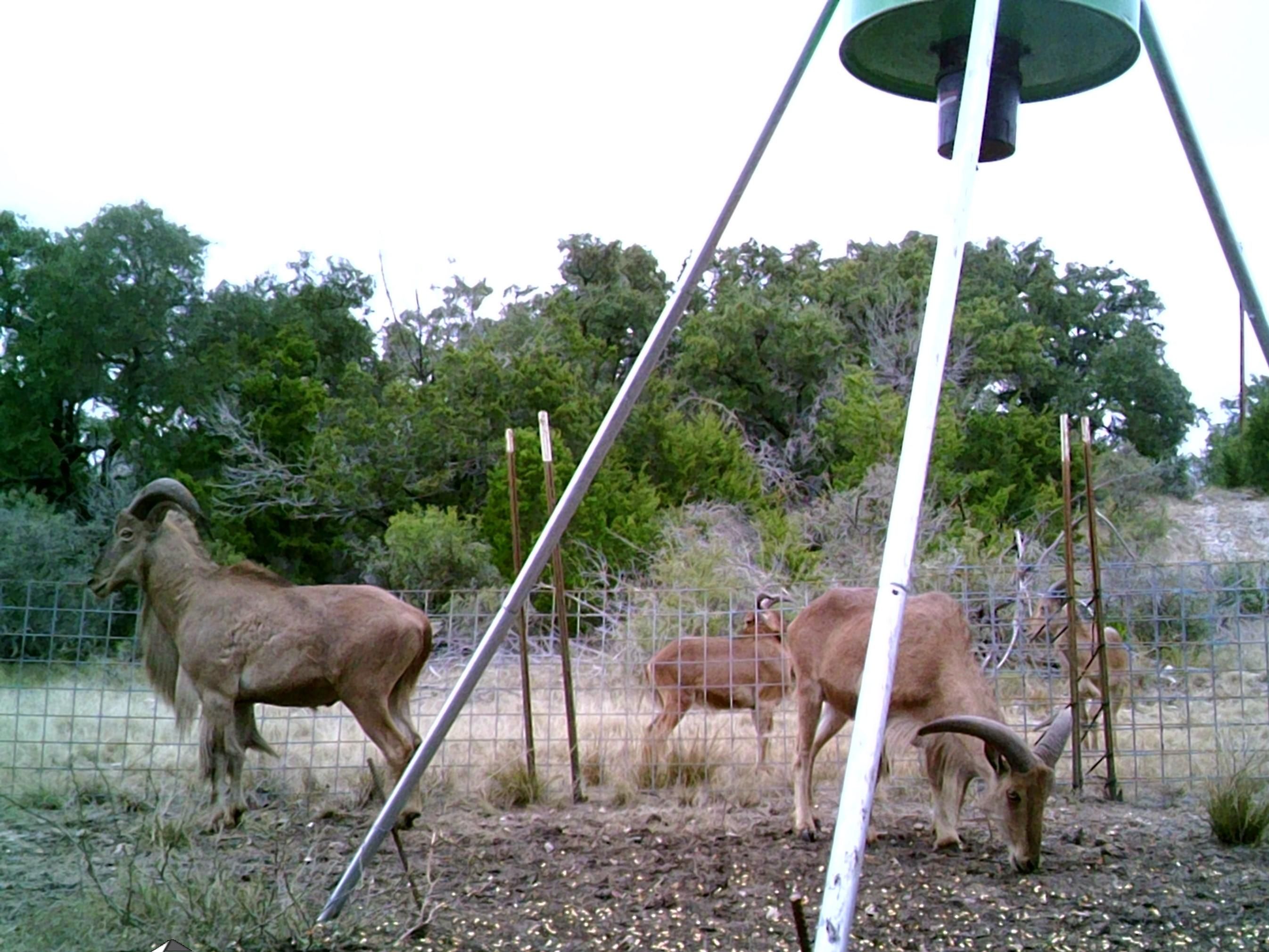 35.49 acres in Edwards County, Texas