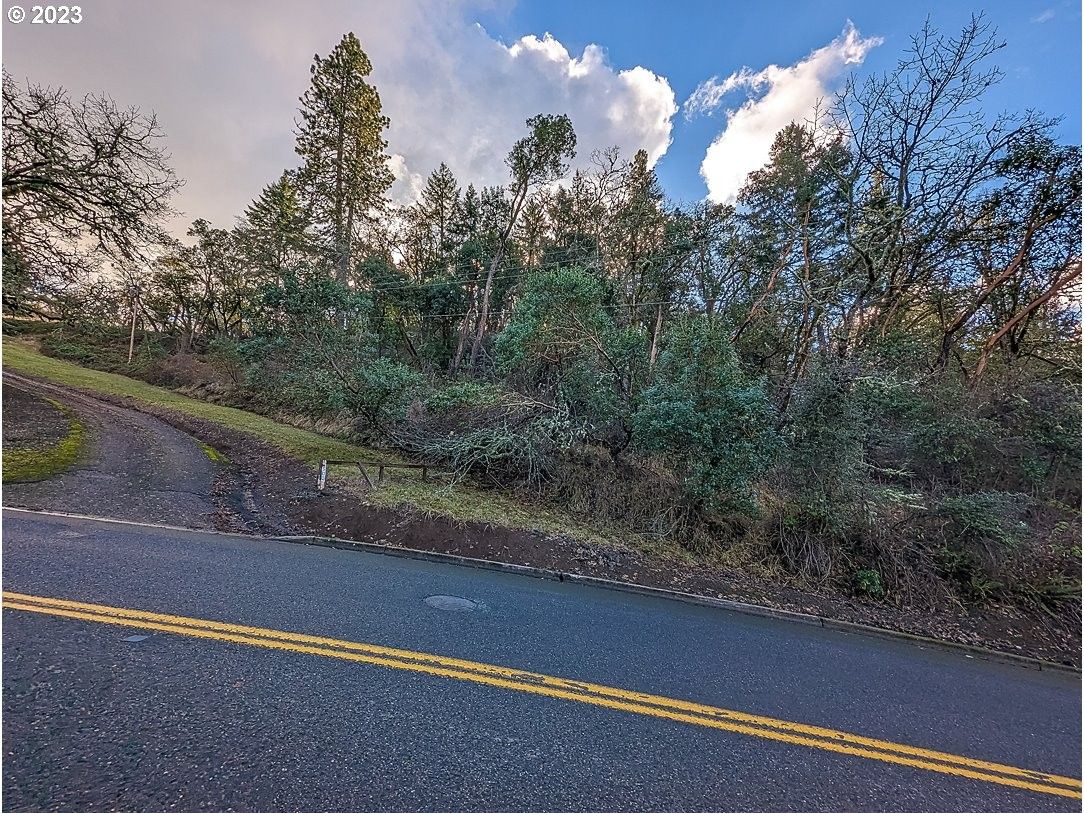 0.56 acres in Douglas County, Oregon