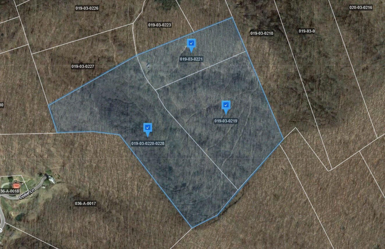 48 acres in Tazewell County, Virginia