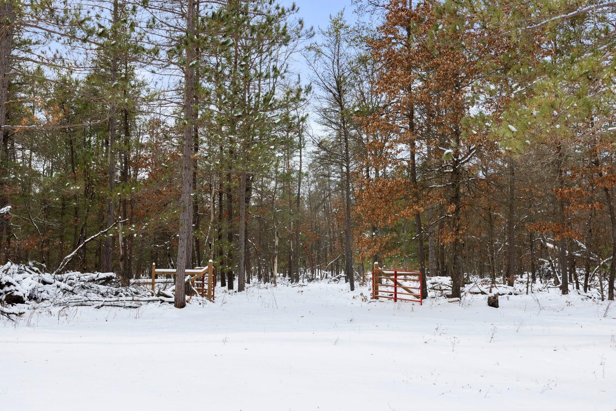 40 acres in Clare County, Michigan