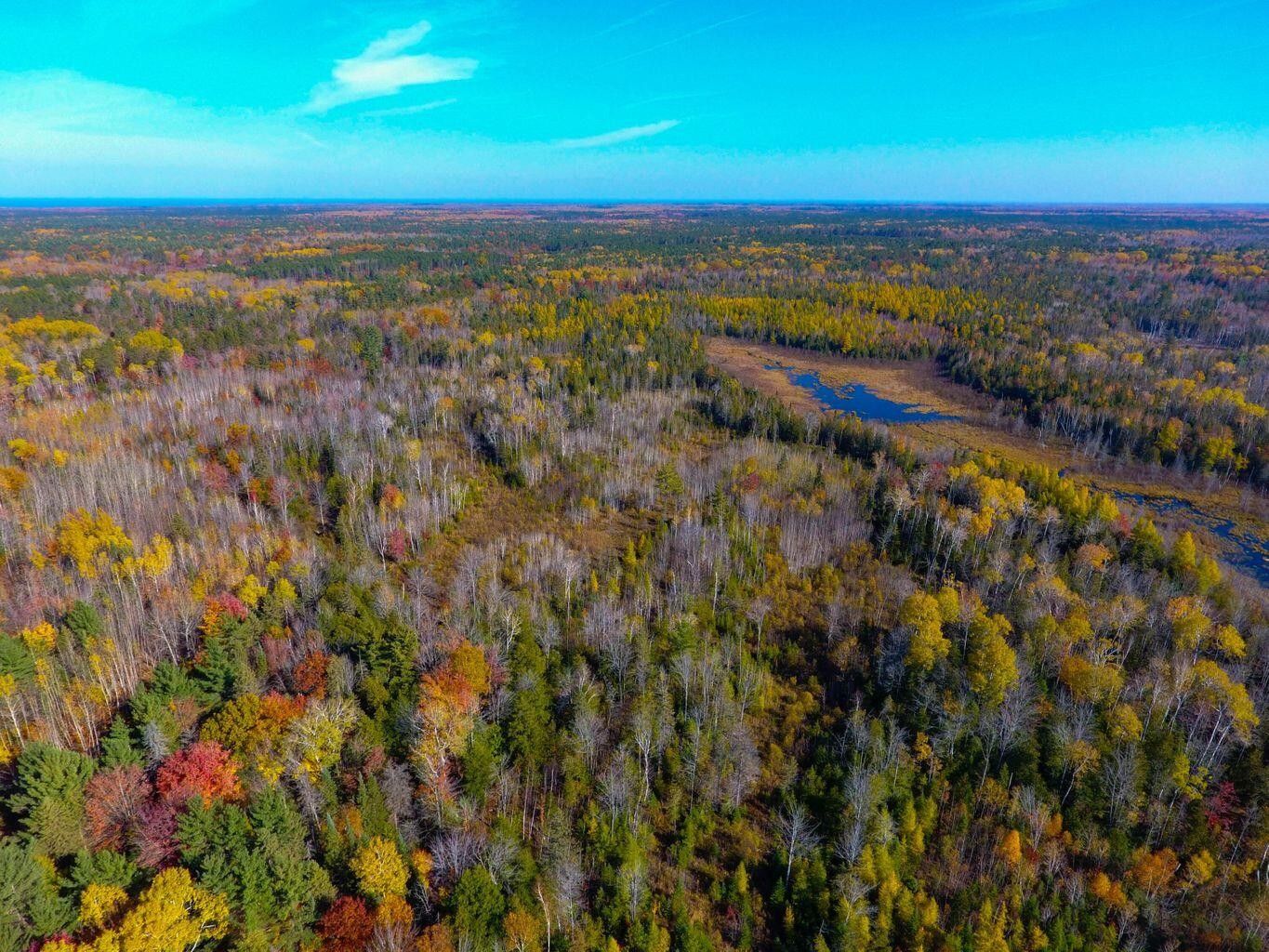 62.84 acres in Cheboygan County, Michigan